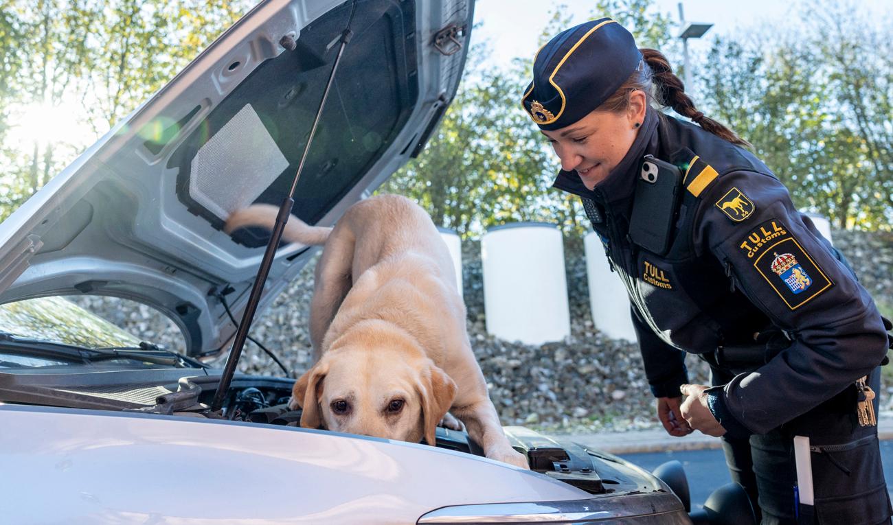 Hunden Max med sin förare Frida Hessbo. Foto: Foto: André de Loisted