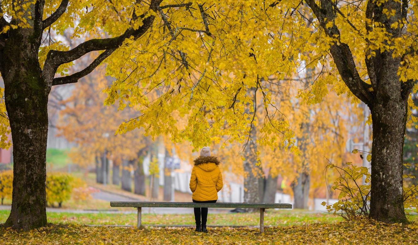 Stressrelaterade sjukdomar står för en allt större del av sjukskrivningarna i Sverige. Foto: Shutterstock