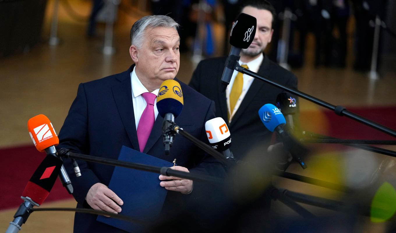 Ungerns premiärminister Viktor Orbán vid EU-toppmötet i Bryssel. Foto: Virginia Mayo/AP/TT