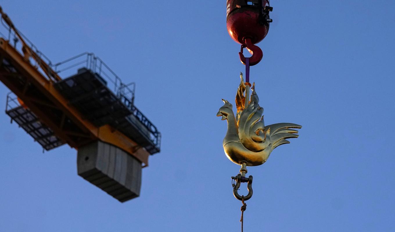 Den nya Fenix-inspirerade tuppen sätts på plats på Notre Dames spira. Foto: Michel Euler/AP/TT