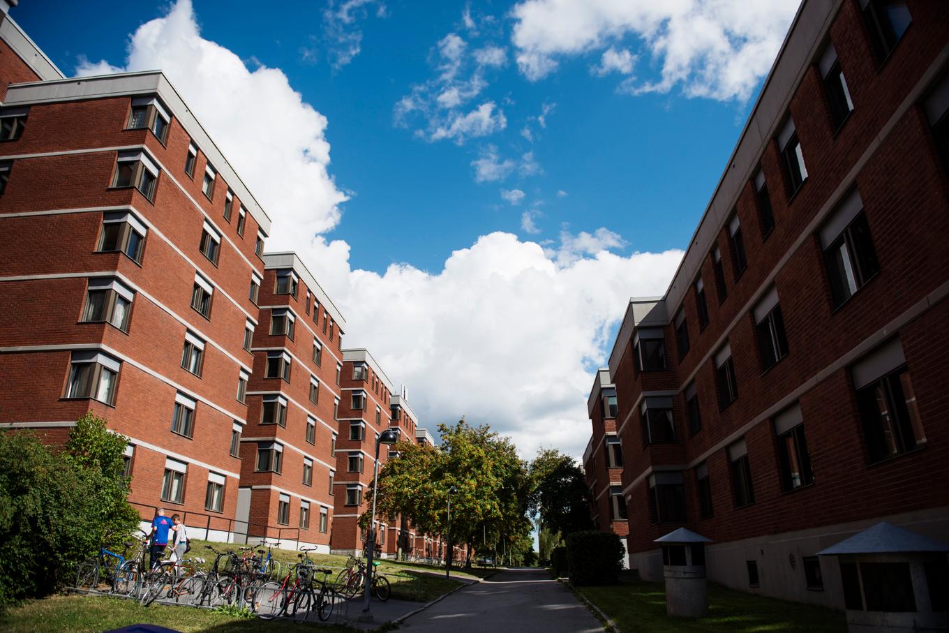 Studentbostäder i huvudstaden är dyrast i landet. Arkivbild från Campus Lappis på Lappkärsberget i Stockholm. Foto: Izabelle Nordfjell/TT