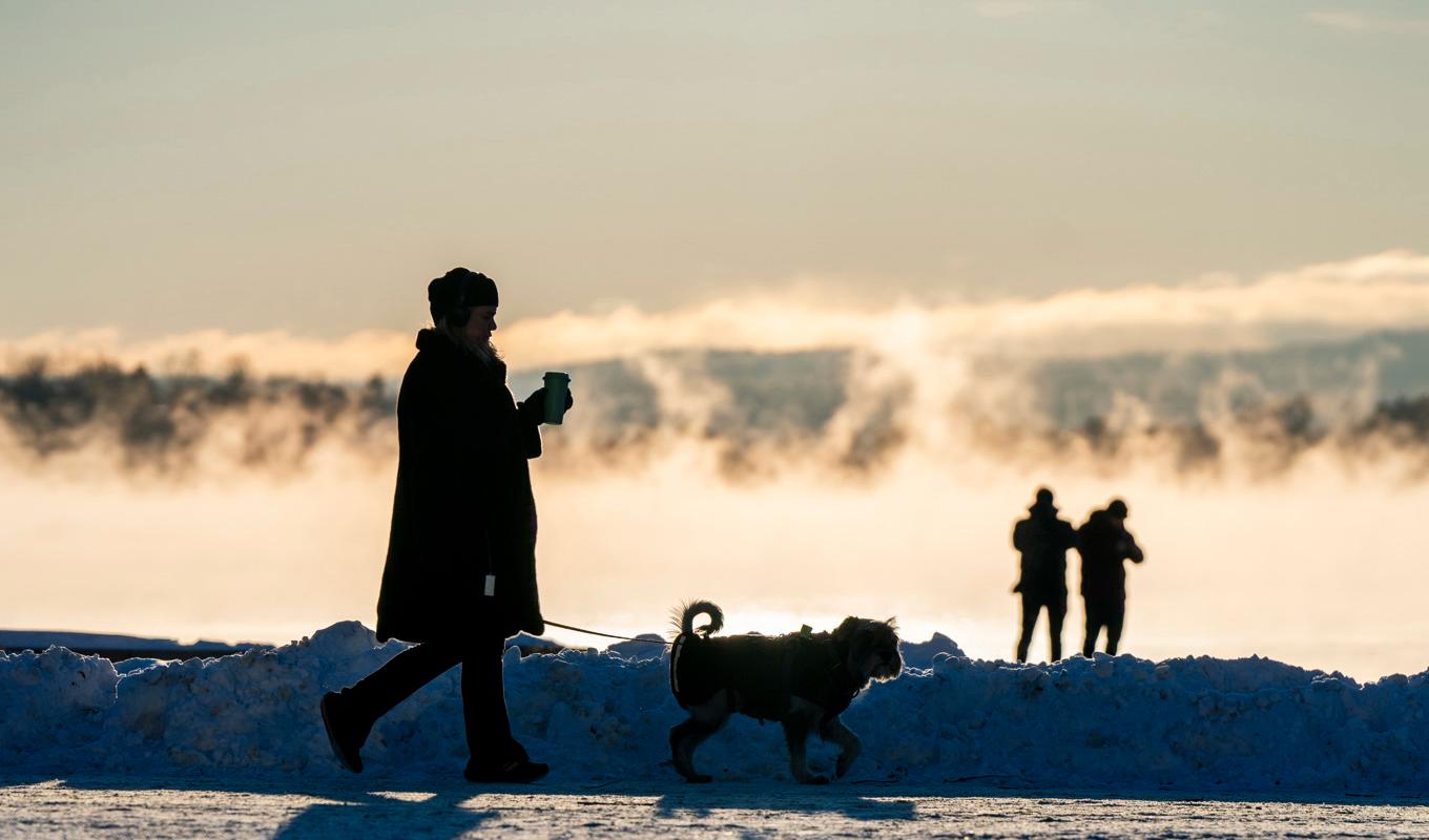 Froströken ligger tät över Oslofjorden på denna bild från fredagen Foto: Håkon Mosvold Larsen/NTB/TT