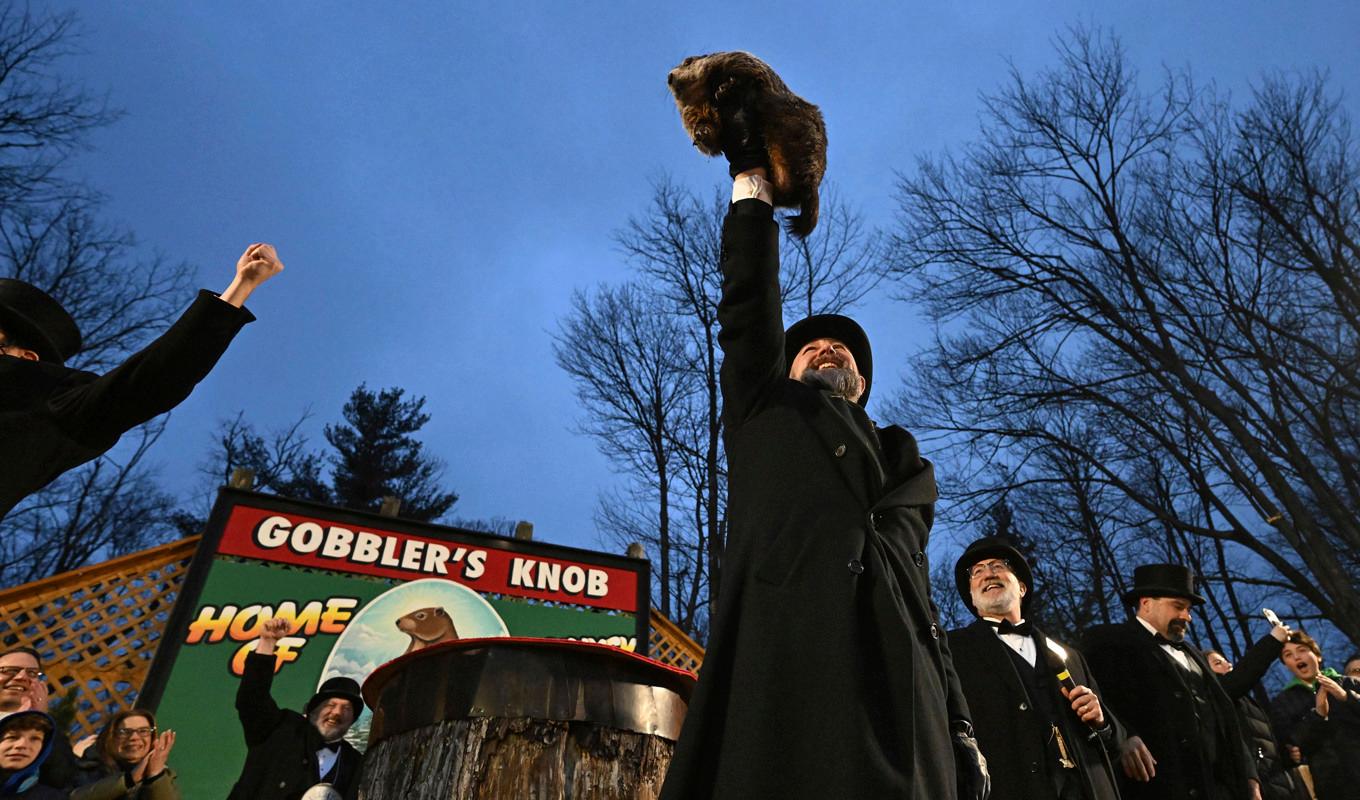 AJ Dereume, ordförande i Groundhog Club, håller upp Punxsutawney Phil efter djurets siande om en snar vår. Foto: Barry Reeger/AP/TT