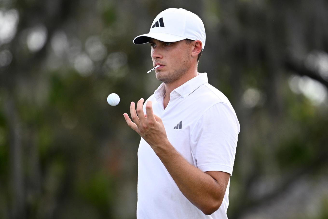 Ludvig Åberg under Arnold Palmer Invitational. Foto: Phelan M. Ebenhack/AP/TT