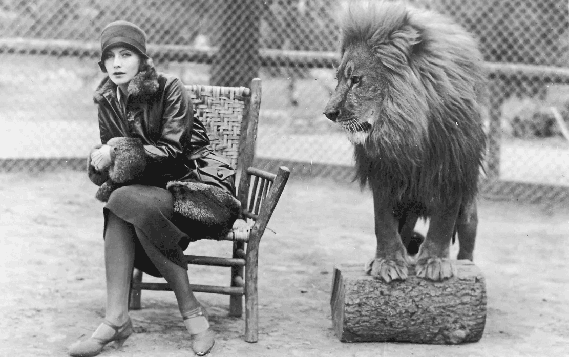 Greta Garbo poserar, till synes motvilligt, bredvid MGM Studios lejon, som röt så respektingivande på bioduken i den välbekanta sekvensen. Garbo var under sin tid i Hollywood kontrakterad av MGM, och det ingick väl att behöva ställa upp på vissa PR-jippon. Men Garbo är ju ihågkommen som oerhört skygg och var endast med på filmpremiärer i början av sin karriär. Foto: Marc Wanamaker/Hulton Archive/Getty Images