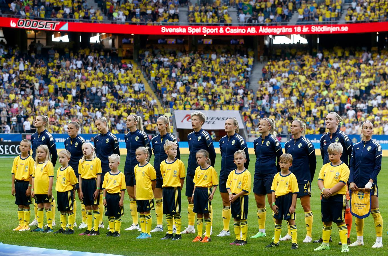 Det svenska landslaget återvänder till Friends arena för EM-kvalmatchen mot Irland. Foto: Magnus Andersson/TT