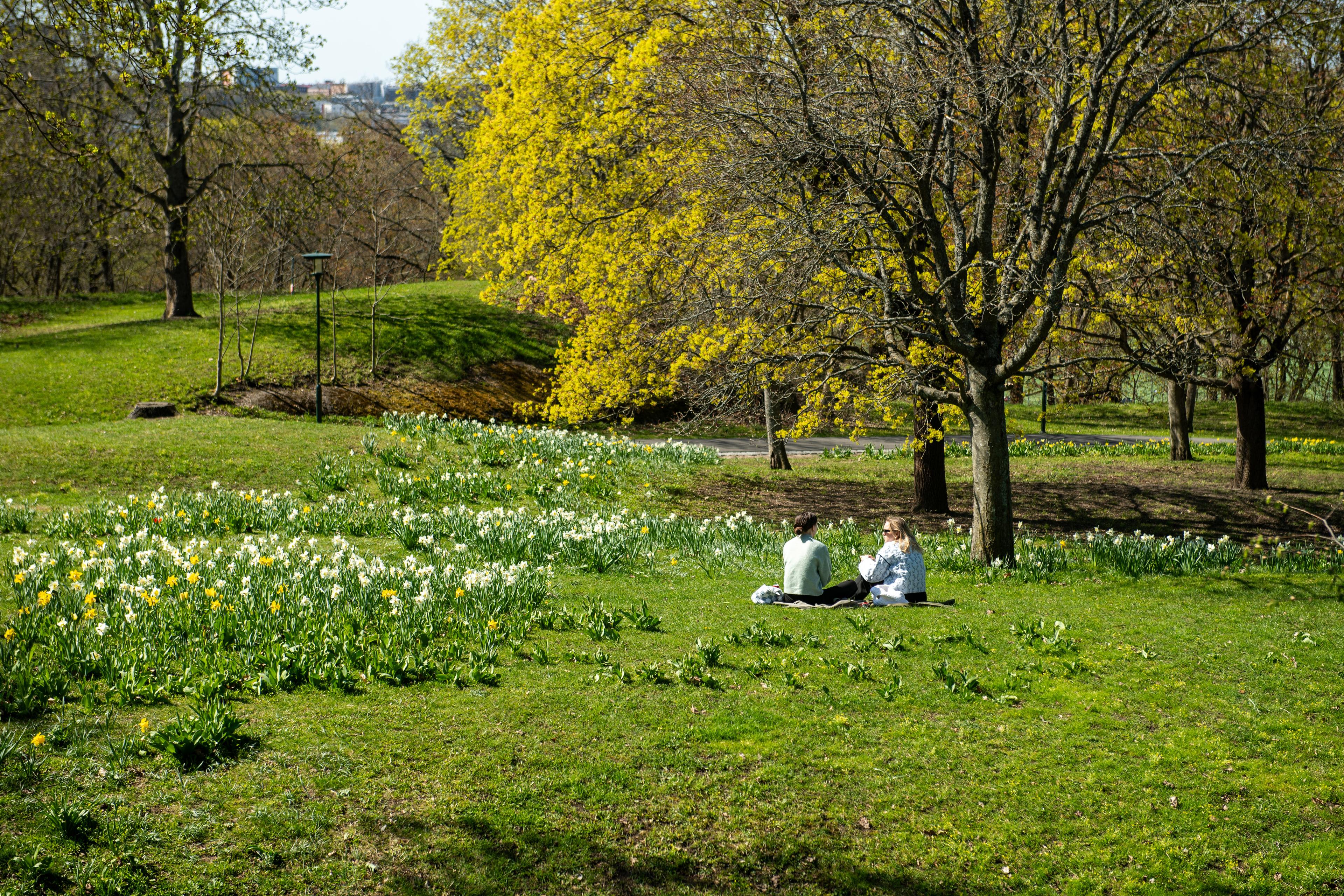 Långhelgen bjuder på vårtemperaturer. Arkivbild. Foto: Samuel Steén/TT