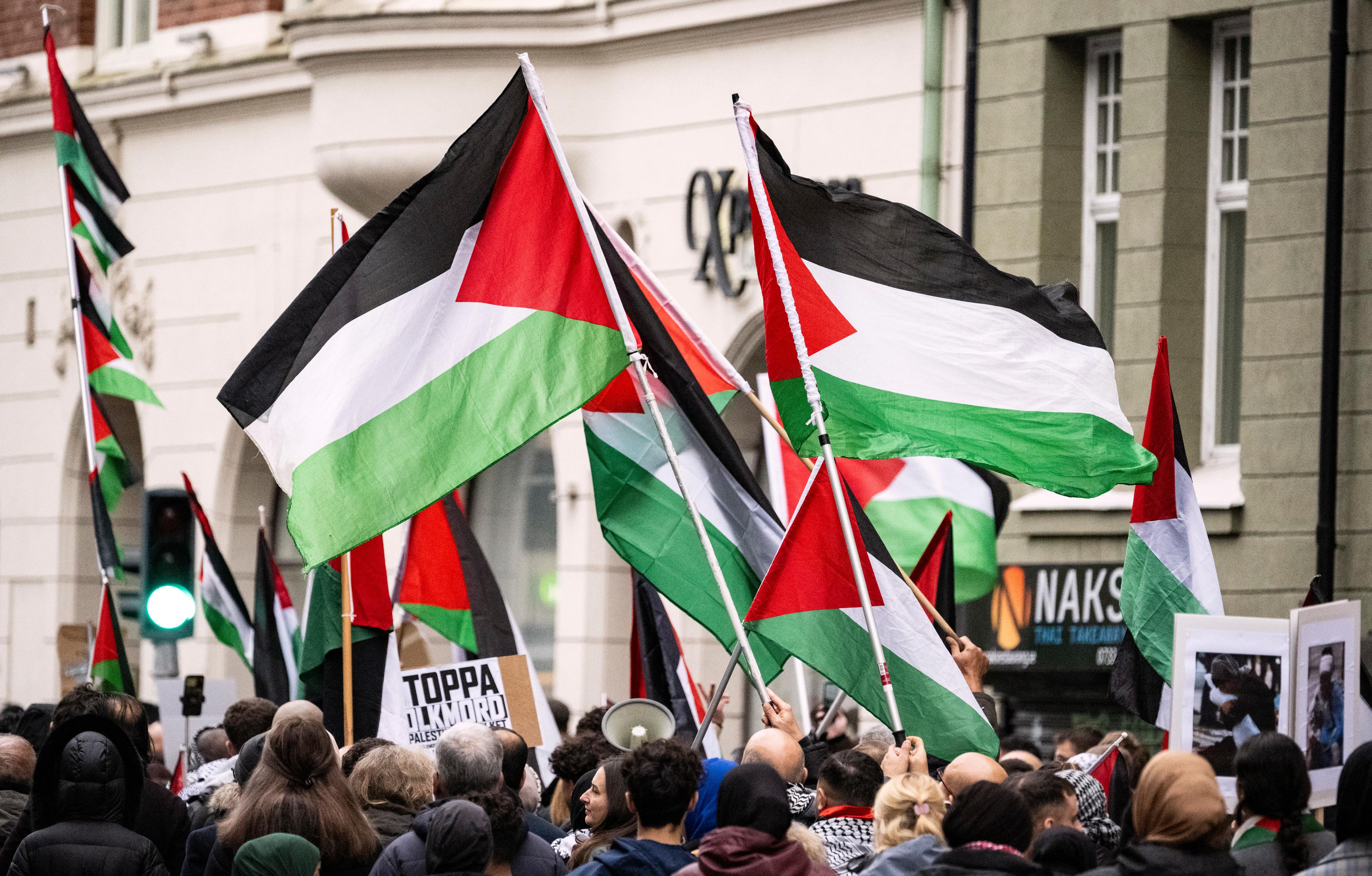 Palestinska flaggor vid en demonstration i Malmö. Arkivbild. Foto: Johan Nilsson/TT