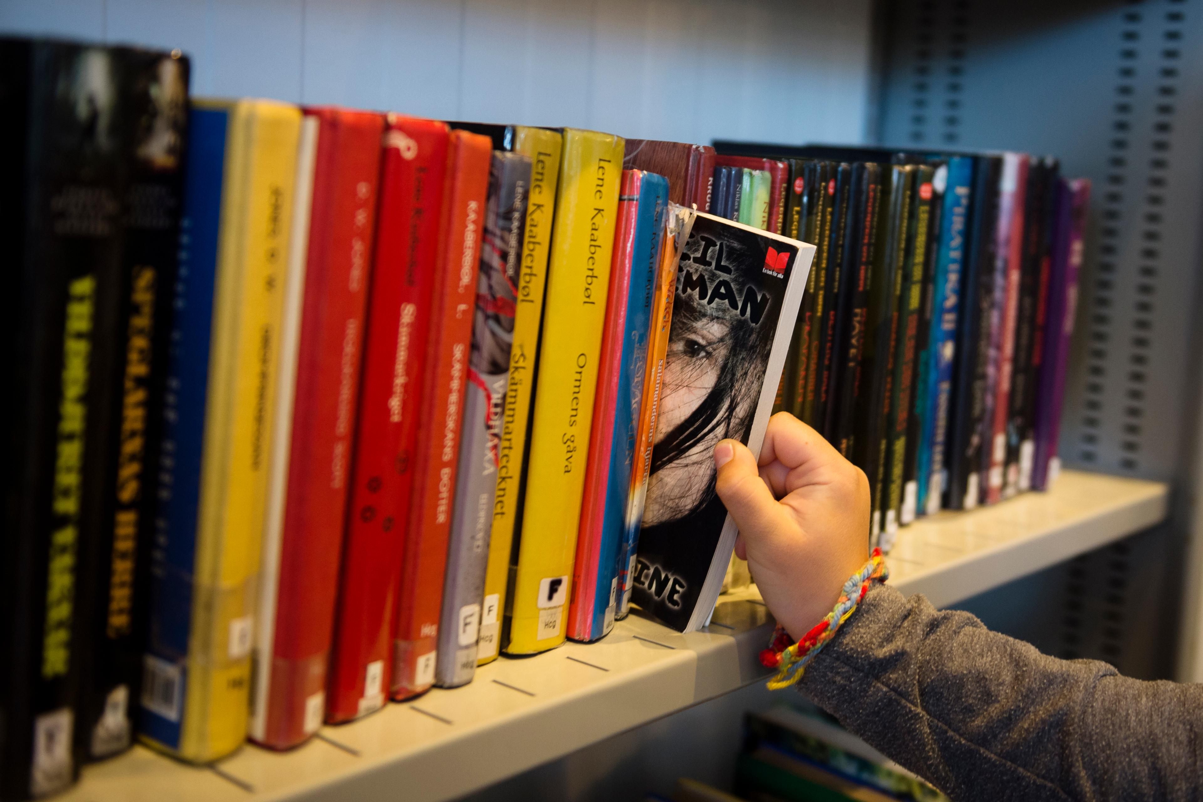 Expertrådet för läsning vill skapa en mer läsfrämjande miljö i både skola och samhälle. Arkivbild. Foto: Vilhelm Stokstad/TT