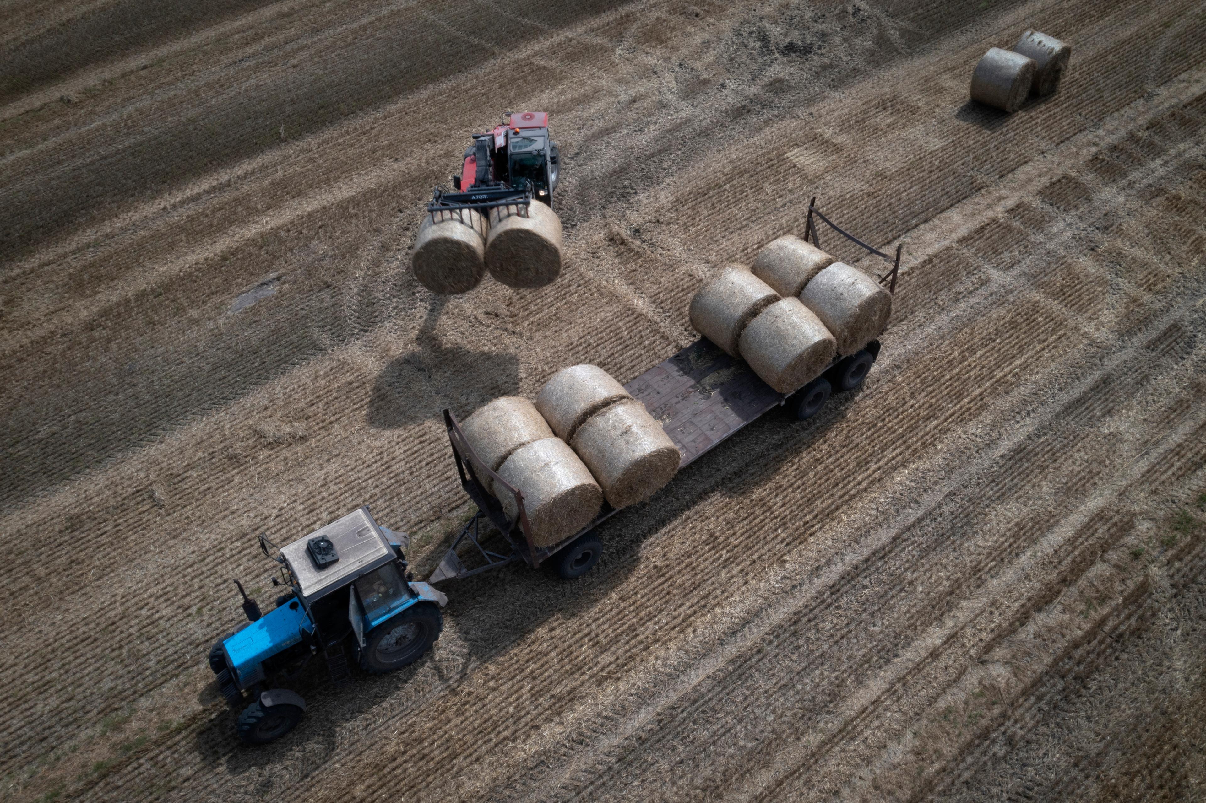 EU vill avskräcka Ryssland från att försöka exportera spannmål till länder inom unionen. Arkivbild. Foto: Efrem Lukatsky/AP/TT