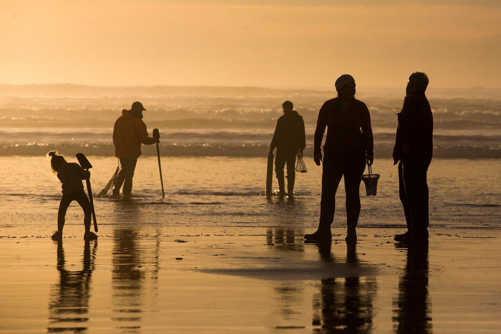 Besökare letar musslor i Fort Stevens State Park i USA-delstaten Oregon. Arkivbild. Foto: Joshua Bessex/AP/TT