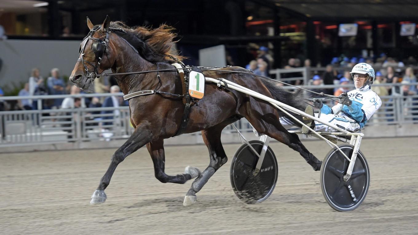 18 raka segrar har han, Francesco Zet. Men han har aldrig stött på vassare motstånd än på söndag i Elitloppet. Pallar han trycket?   Foto: Lars Jakobsson/TR Bild