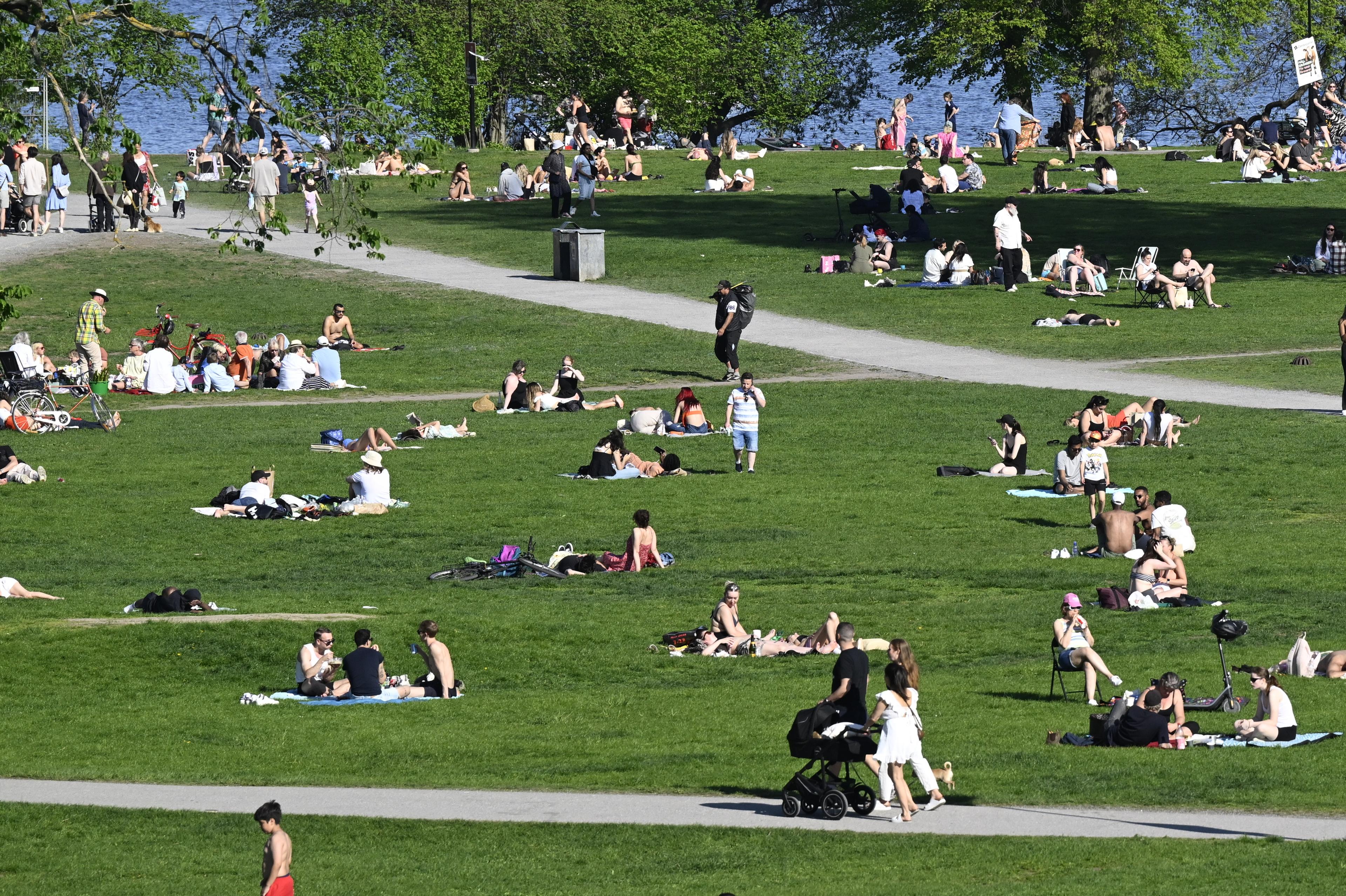 Nu försvinner supervärmen och regn drar in över landet. Arkivbild. Foto: Fredrik Sandberg/TT