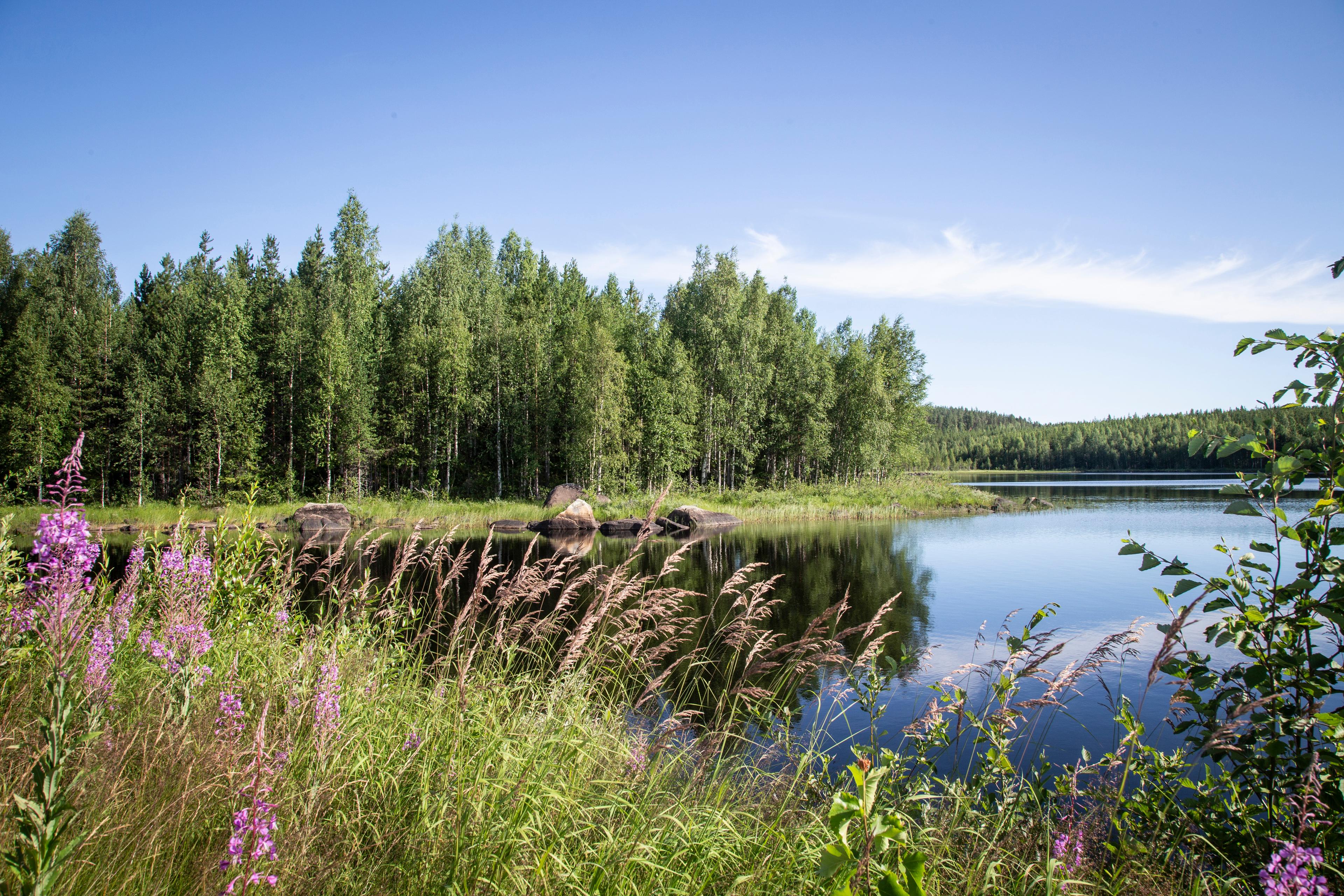 Länsstyrelserna får extra miljoner för kalkning av sjöar och vattendrag. Arkivbild. Foto: Helena Landstedt/TT