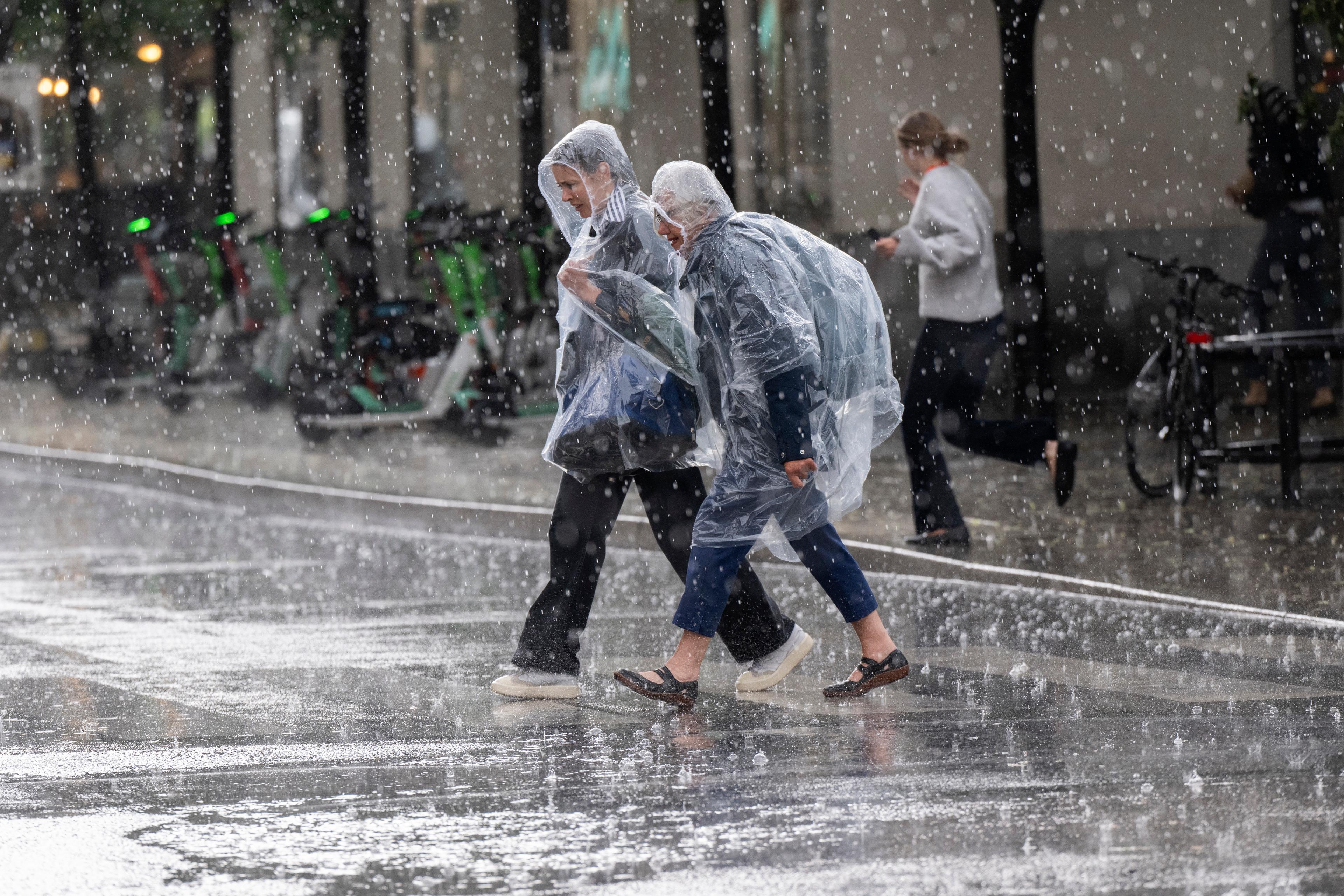 SMHI varnar för skyfall i delar av Sverige på fredagen. Arkivbild Foto: Henrik Montgomery/TT
