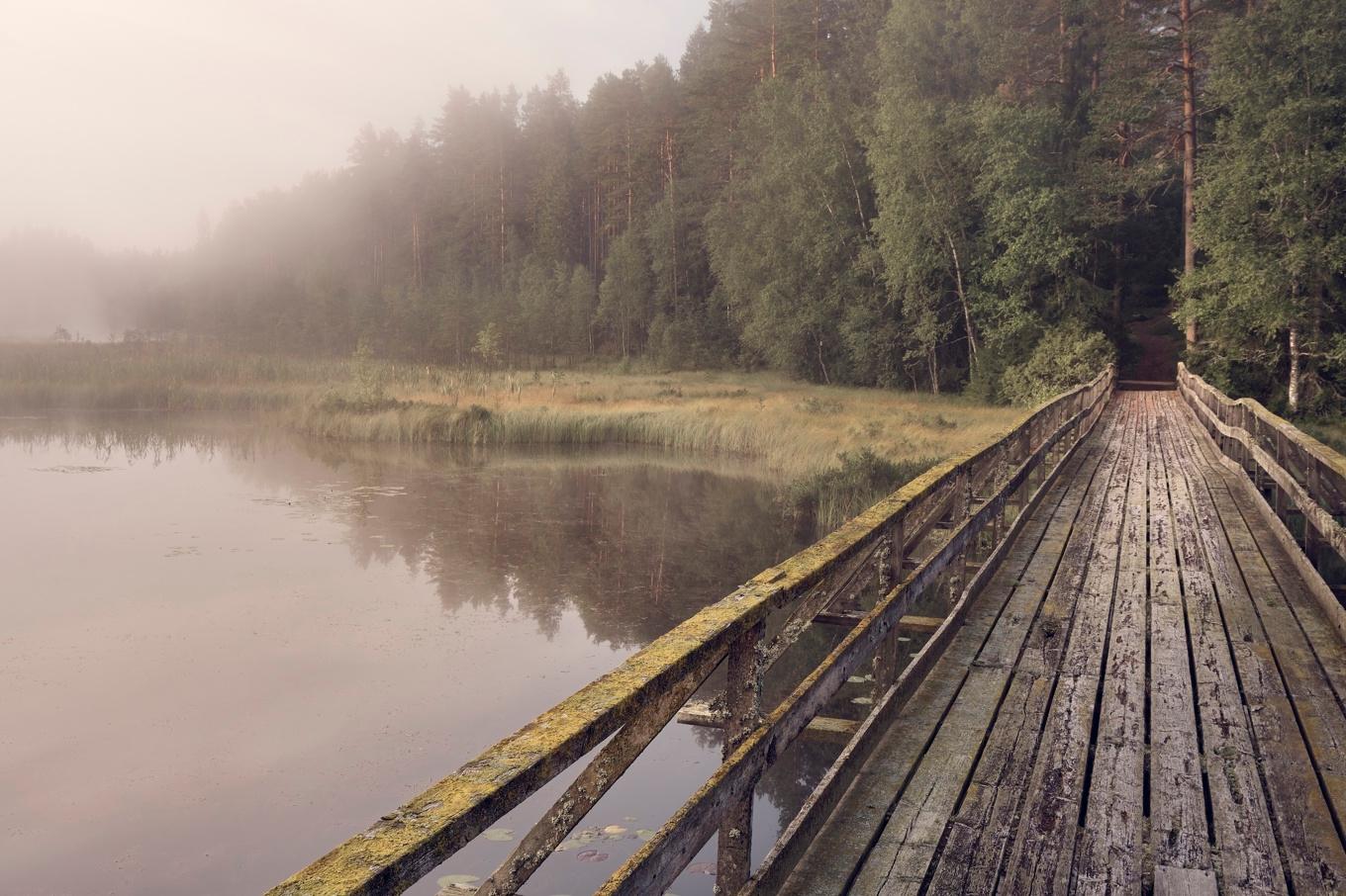 Vi behöver lugn och ro för att komma i kontakt med oss själva och utveckla vår intuition. Foto: Johan Landquist