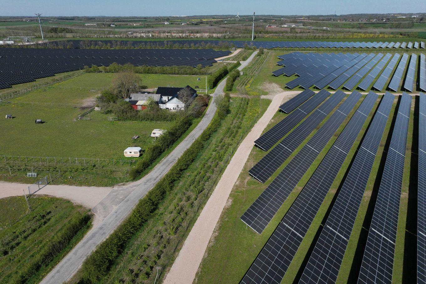 I maj 2023 var solparken i Hjolderup, Danmark, på 340 hektar Europas största. Foto: Sergei Gapon/AFP via Getty Images