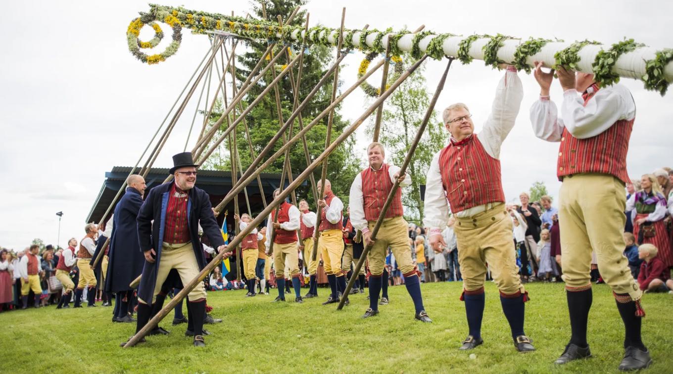 I Leksand är det klang- och jubelfest när man reser världens högsta majstång på 25–26 meter. Apropå resa, så beger sig runt 20 000–30 000 personer varje år till Gropen i Leksand på midsommaraftonen för att heja på de cirka 20 personer som hjälps åt att lyfta stången mot skyn. Arbetet brukar ta ungefär en halvtimme. Man tar det varligt, stången väger sina modiga 800 kilo – inget man vill tappa på tårna.
Den lövade midsommarstången, majstången, symboliserade i bondesamhället god sådd. Den fann troligen sin väg till Sverige via Tyskland, och blev avbildad redan på 1600-talet i Erik Dahlbergs magnum opus Suecia Antiqua. Björklöven var inte enbart skådebröd, utan man satte även löv i åkrarna för att skydda grödorna mot regn och rusk.
Foto: Per Bifrost/Imagebank.Sweden.se