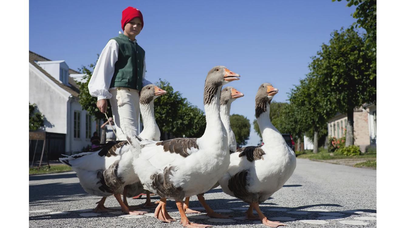 Foto: Conny Fridh/Imagebank.Sweden.se