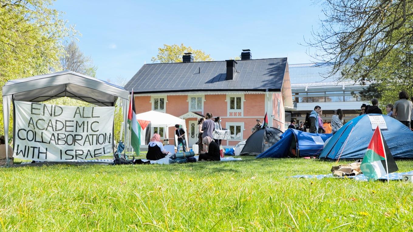 Pro-Palestinademonstration vid Stockholms universitet nyligen. Krönikören menar att det finns ideologiskt motiverade lärare som agerar aktivistiskt, och som har viss makt. Foto: Marcus Strand