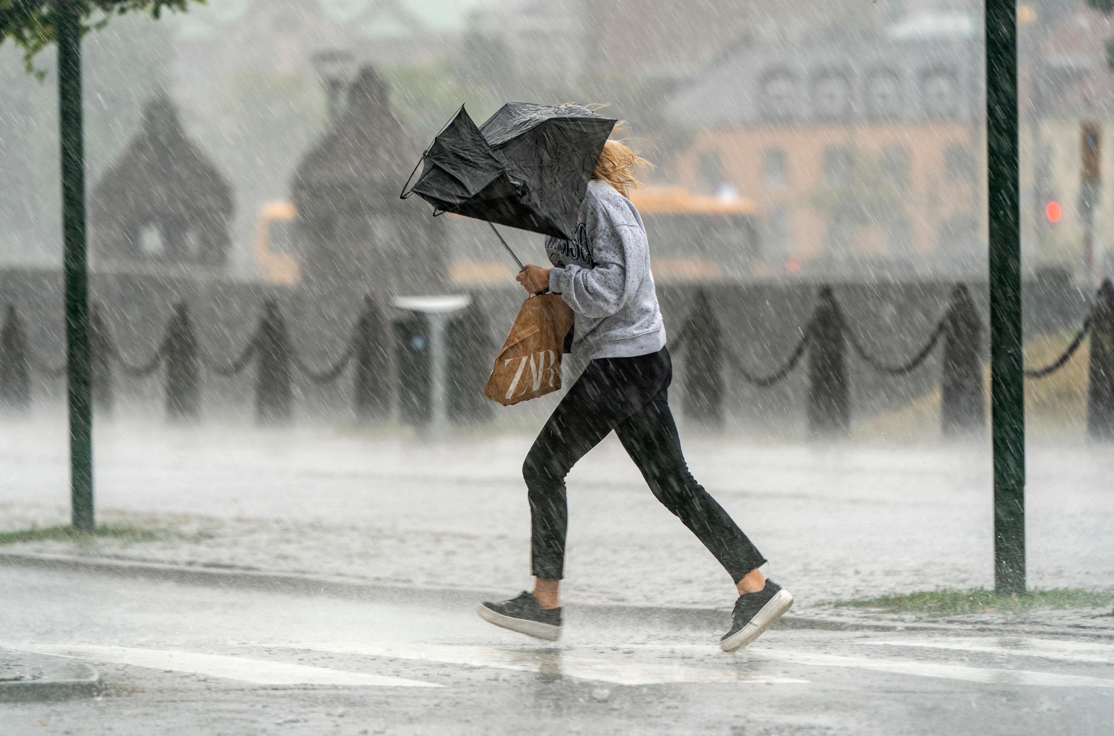 Ett kraftigt regnoväder väntas dra in över södra Sverige på lördag. Arkivbild. Foto: Johan Nilsson/TT