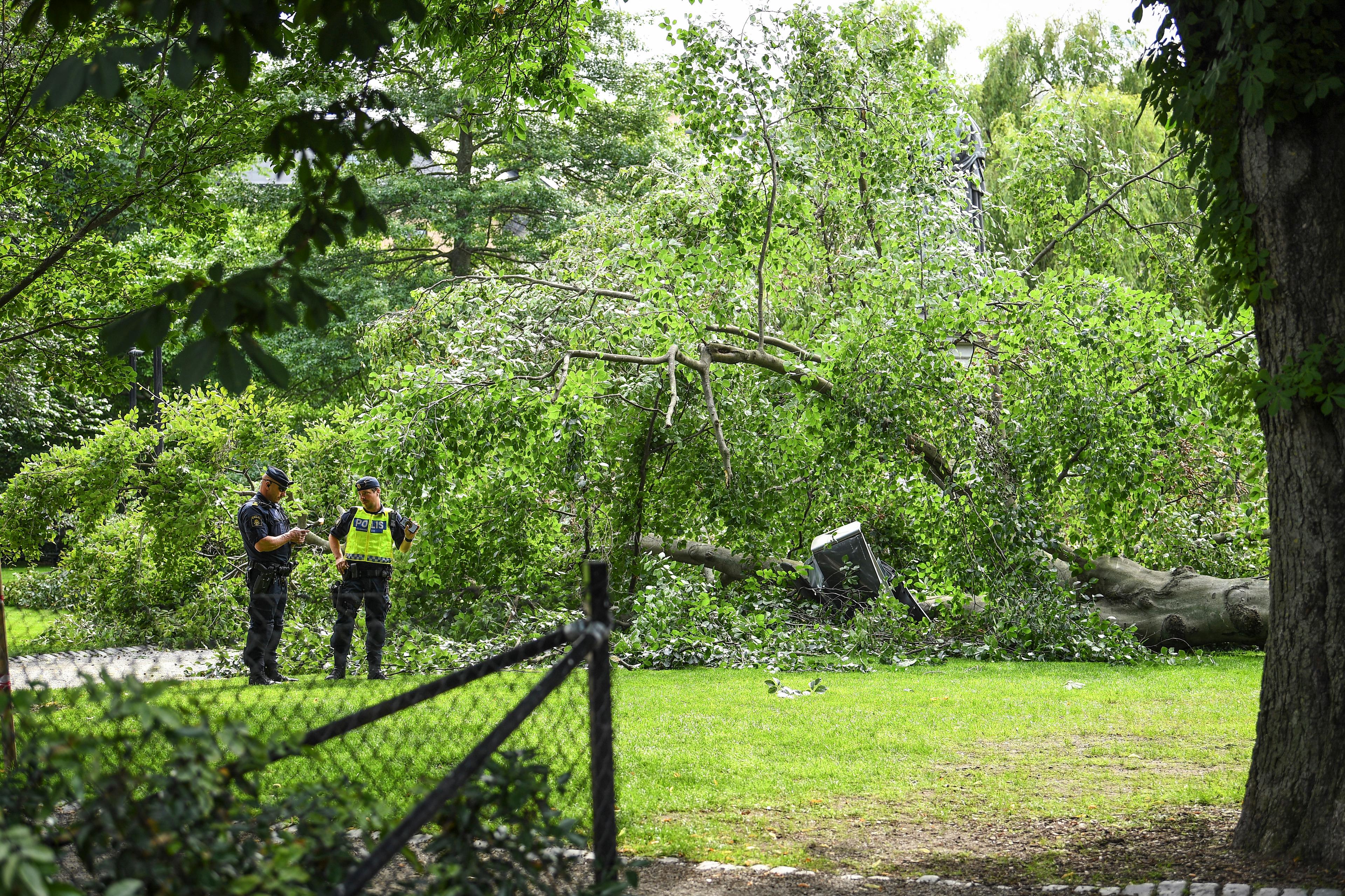 Ett stort träd har fallit i Berzelii park vid Nybroplan i centrala Stockholm.Två personer har skadats lindrigt i samband med att trädet föll, uppger polisen. Foto: Oscar Olsson/TT