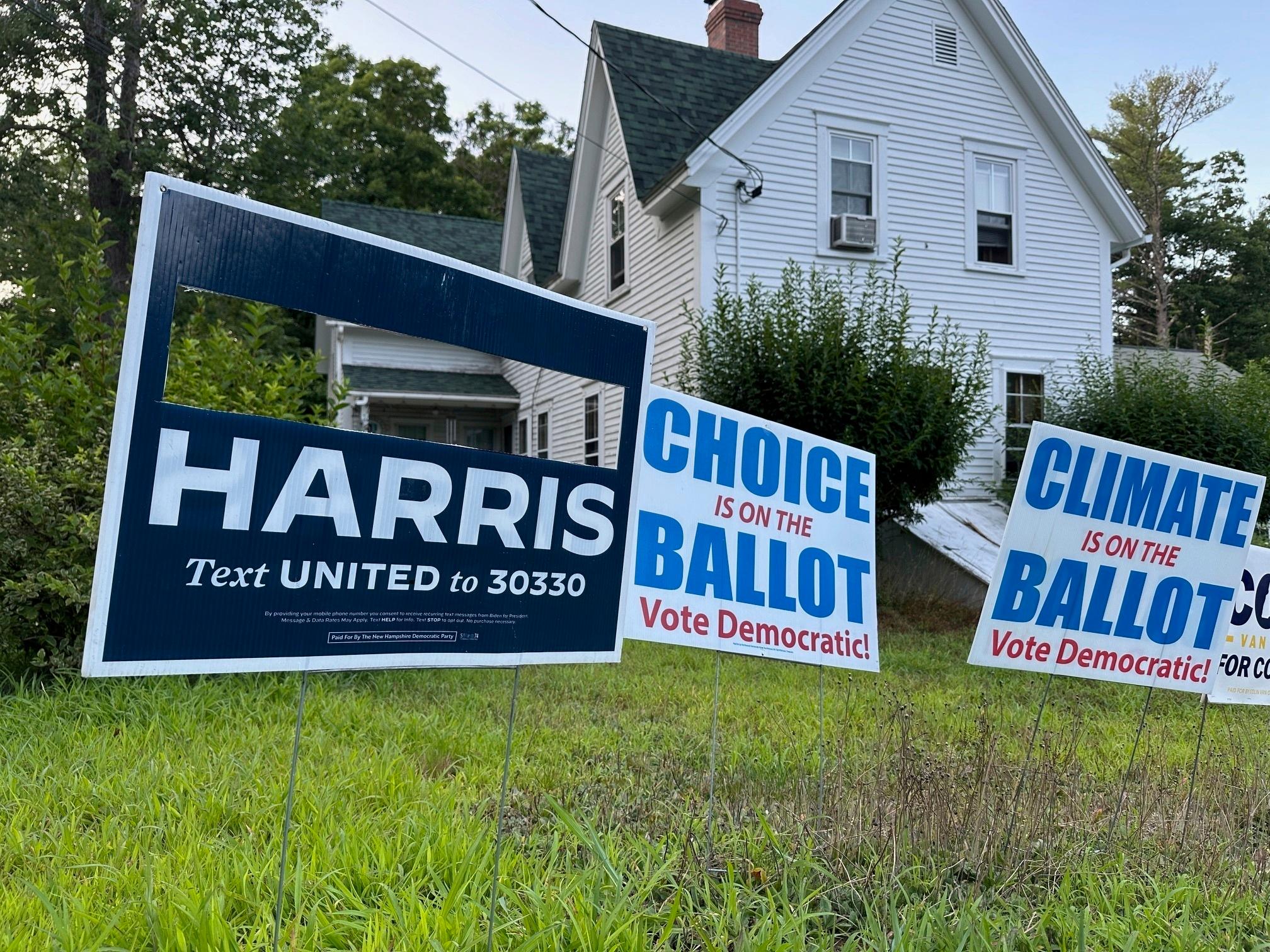 När Joe Bidens namn nu är borta inför presidentvalet har en rad stora bidragsgivare, och gräsrotsgivare, snabbt gett vicepresidenten Kamala Harris stöd och bidrag. Foto: Holly Ramer/AP/TT