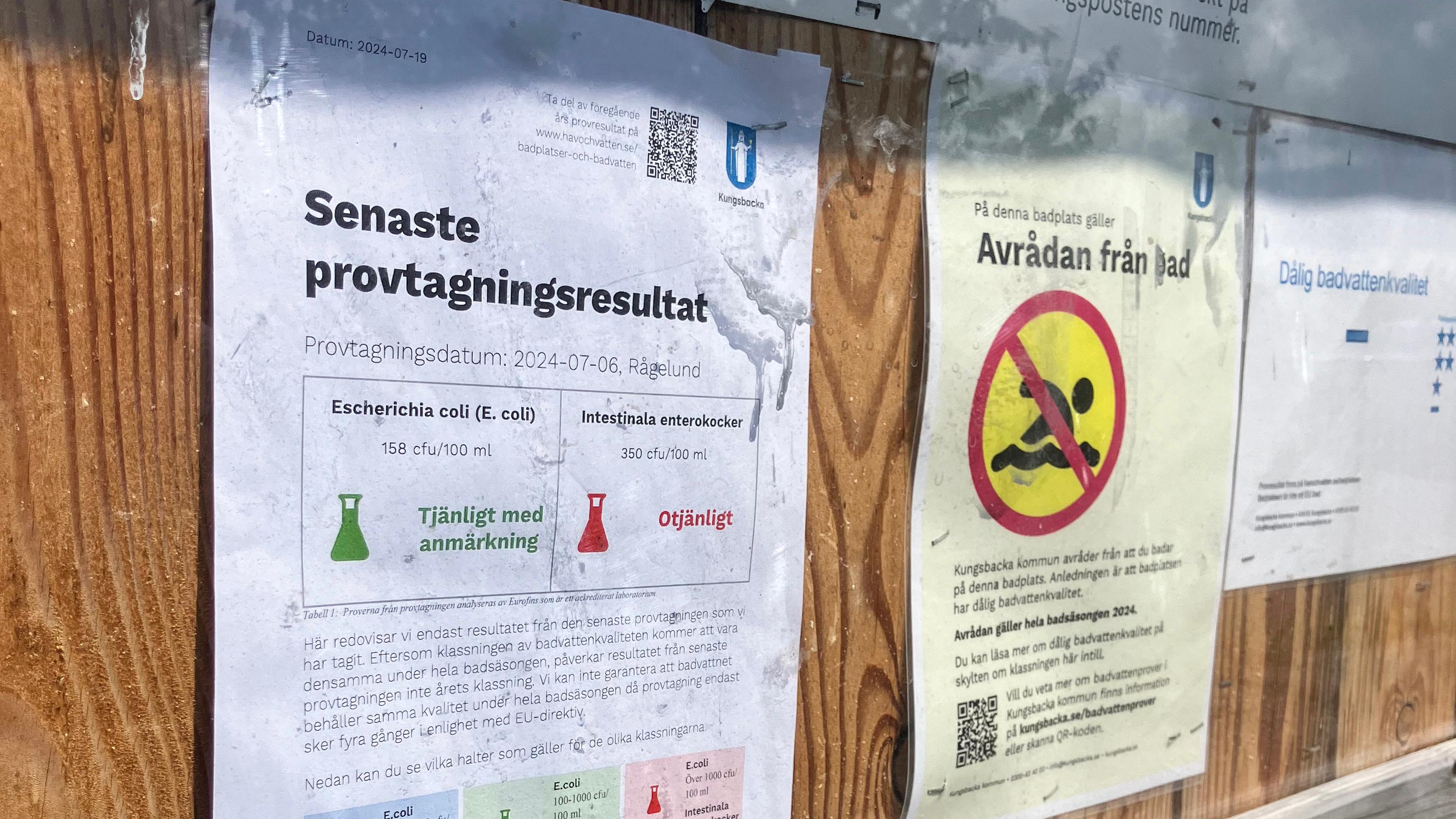 Rågelund i Kungsbacka är exempel på en kommunal badplats som bad avråds ifrån på grund av bakterier i vattnet. Foto: Kungsbacka kommun