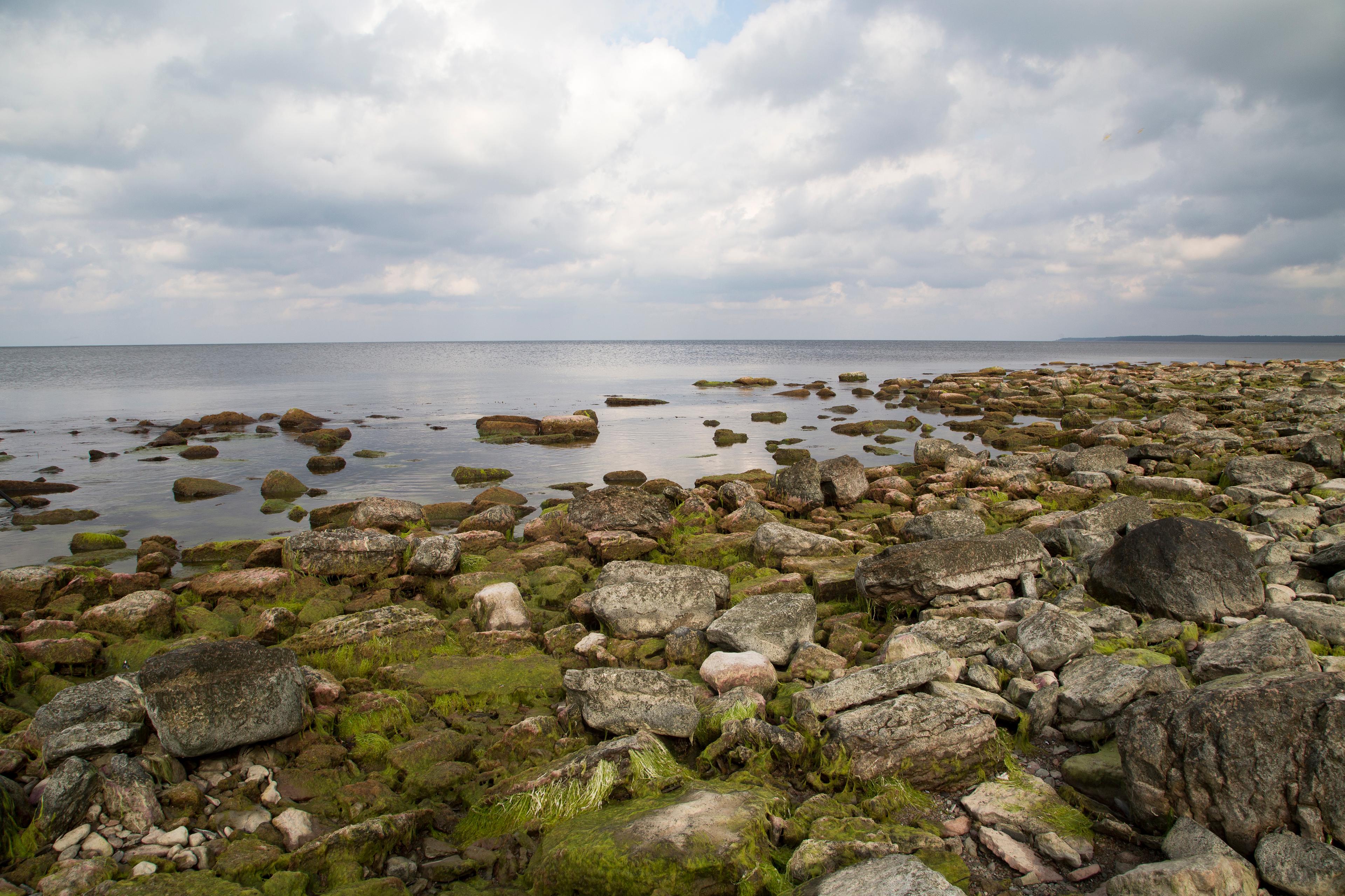 Ett skeppsvrak med bland annat champagneflaskor har hittats utanför Ölands kust. Arkivbild. Foto: Martina Holmberg/TT