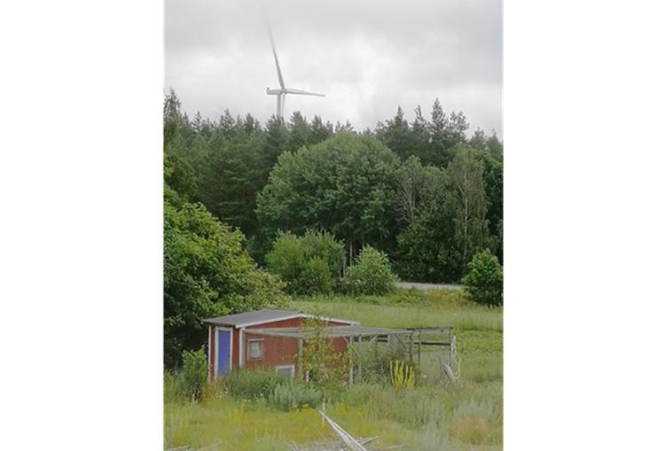 Dödlighet bland kycklingar från en hönsgård i Småland. Höns som lade ägg längre bort från den närliggande vindkraftsparken fick en större andel levande kycklingar. I hönshuset närmast vindkraftsparken kläcktes inga levande kycklingar (100 procent mortalitet).  Foto: Henning Theorell