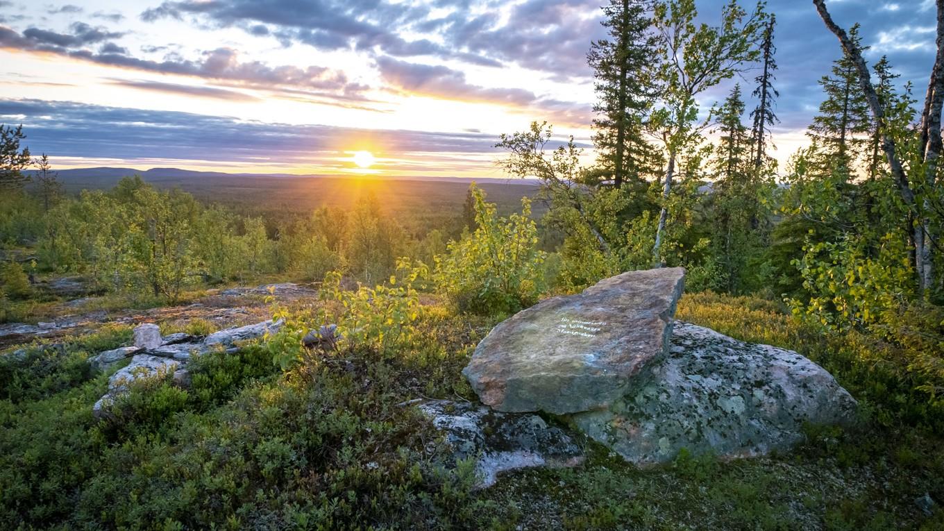 Marknaden har skapat skogsägare som hellre offrar sina skogar än vårdar och bevarar dem, menar Lotta Gröning. Foto: Bilbo Lantto