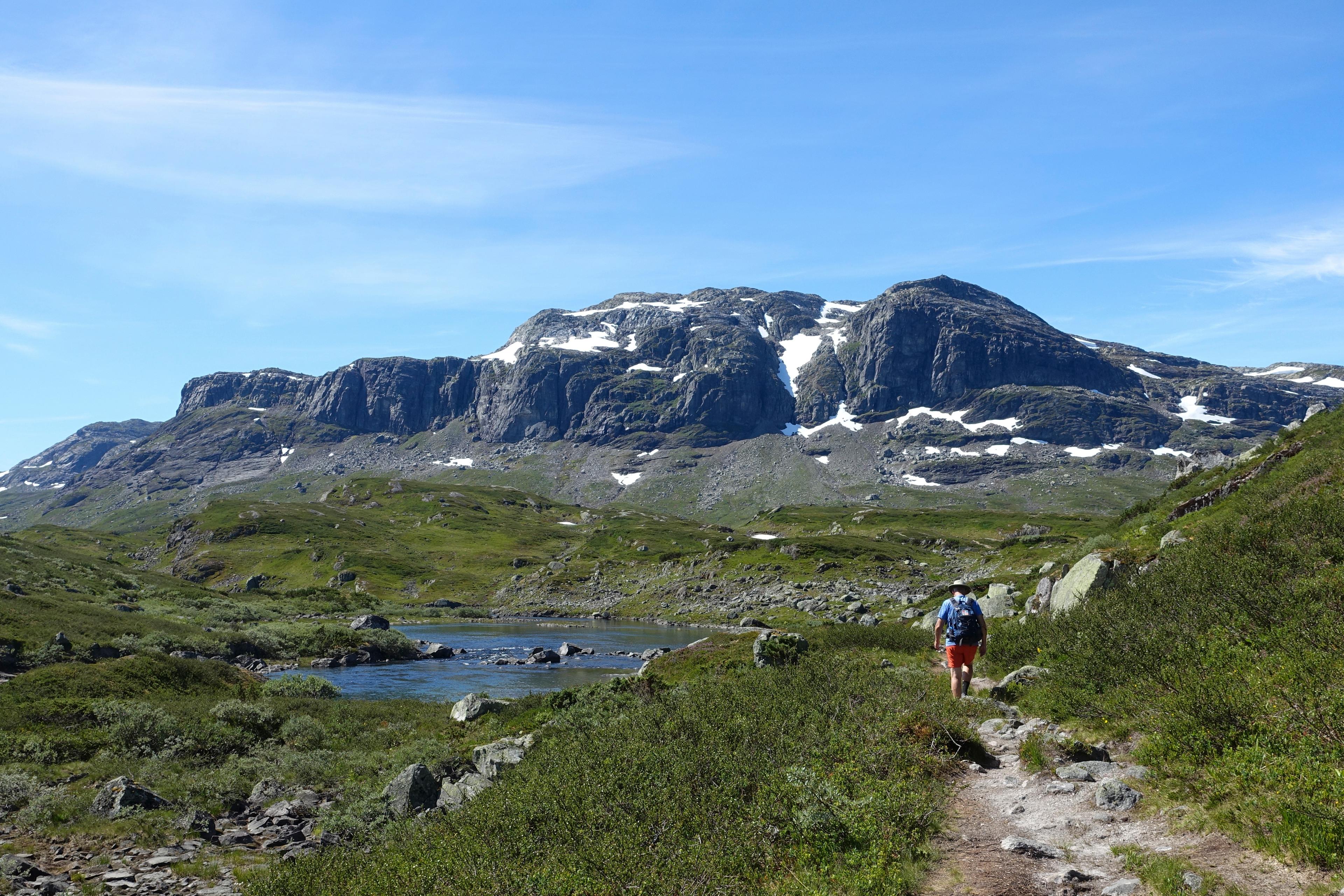 Två svenskar behövde hjälp efter att ha ätit svamp. Arkivbild. Foto: Marianne Løvland/NTB/TT