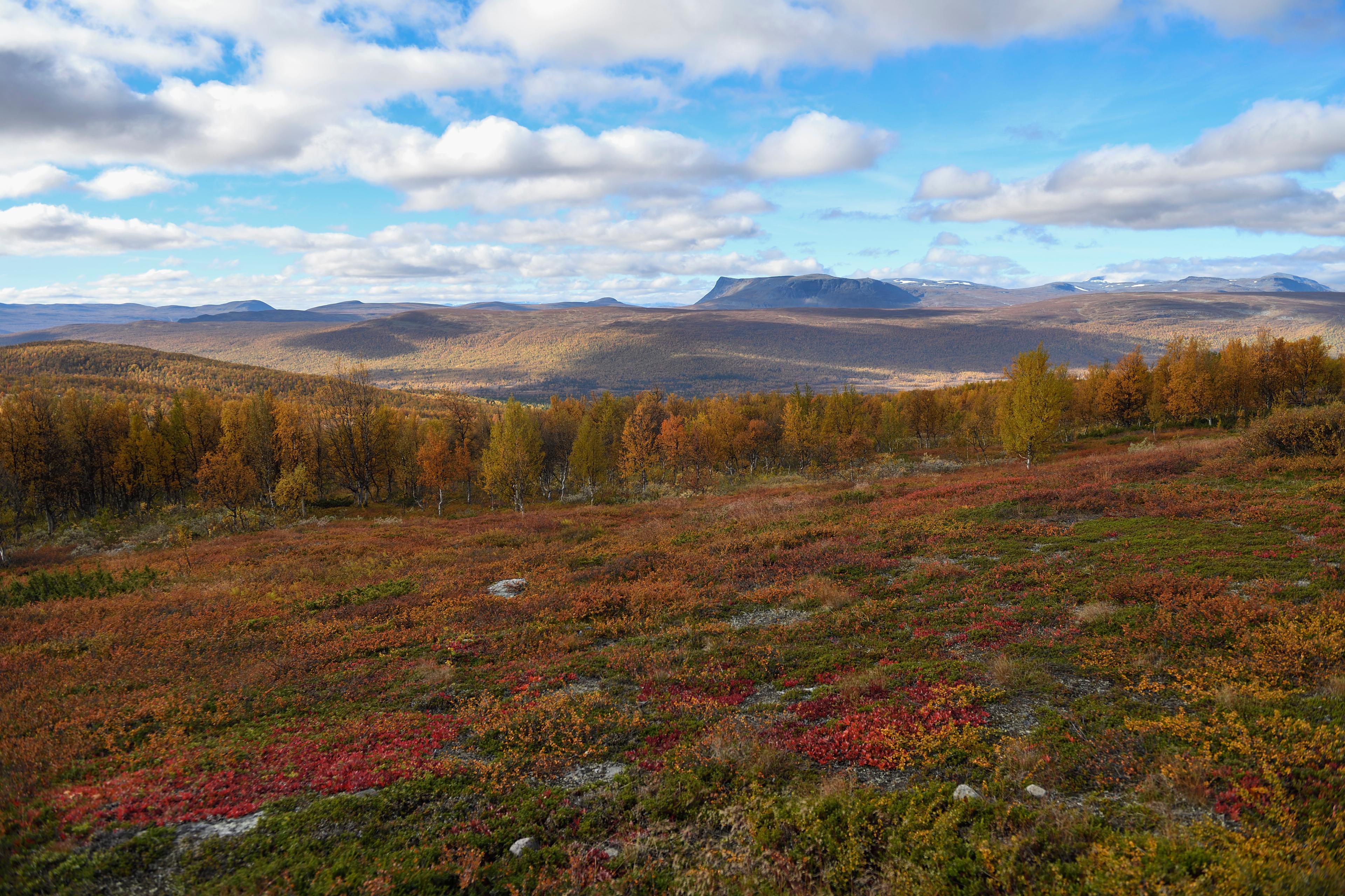 SMHI avråder ovana besökare från att ge sig ut på fjället. Arkivbild. Foto: Henrik Montgomery/TT