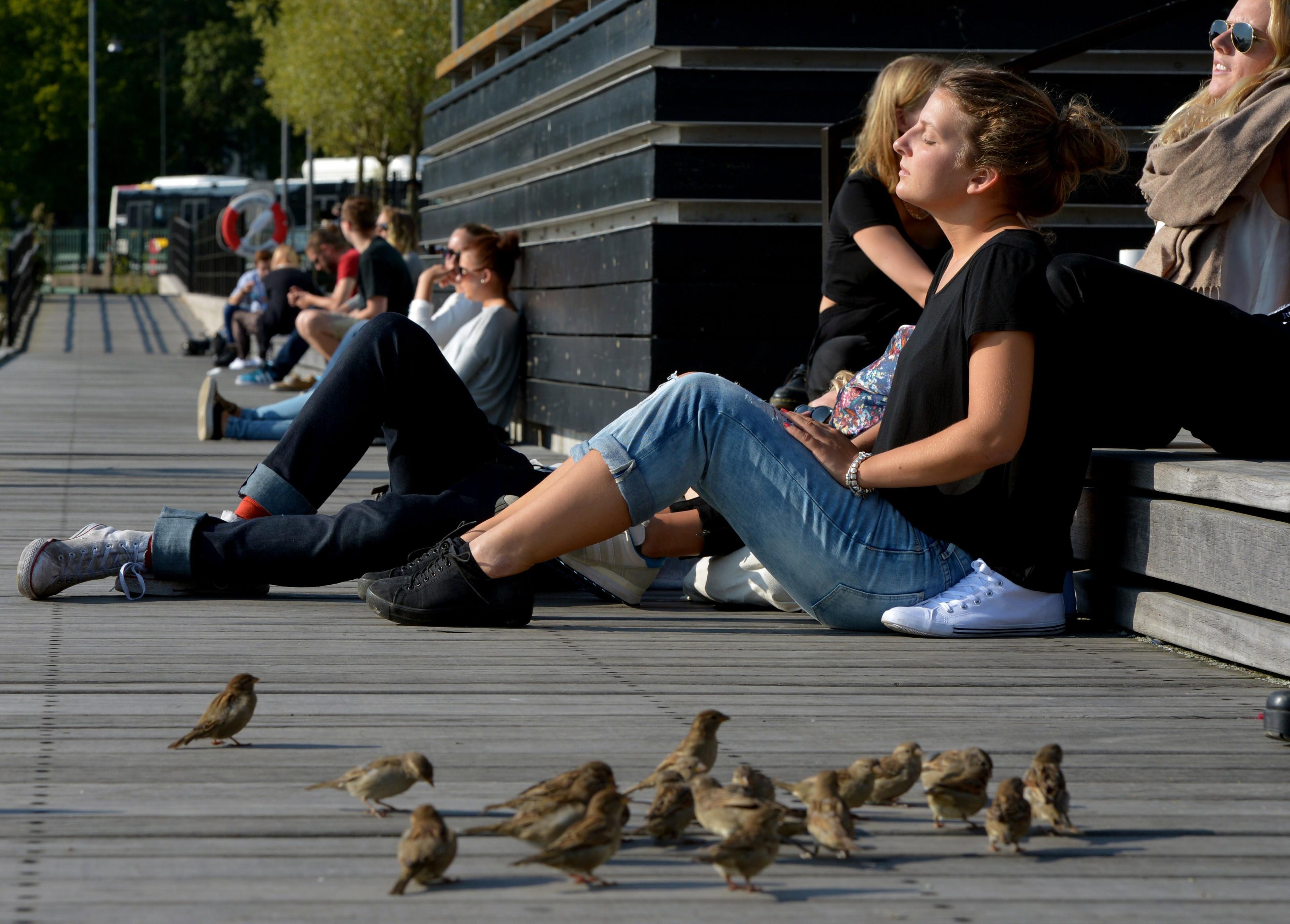 Ett högtryck ger goda chanser till sol och värme från mitten av veckan. Arkivbild. Foto: Johan Nilsson / TT