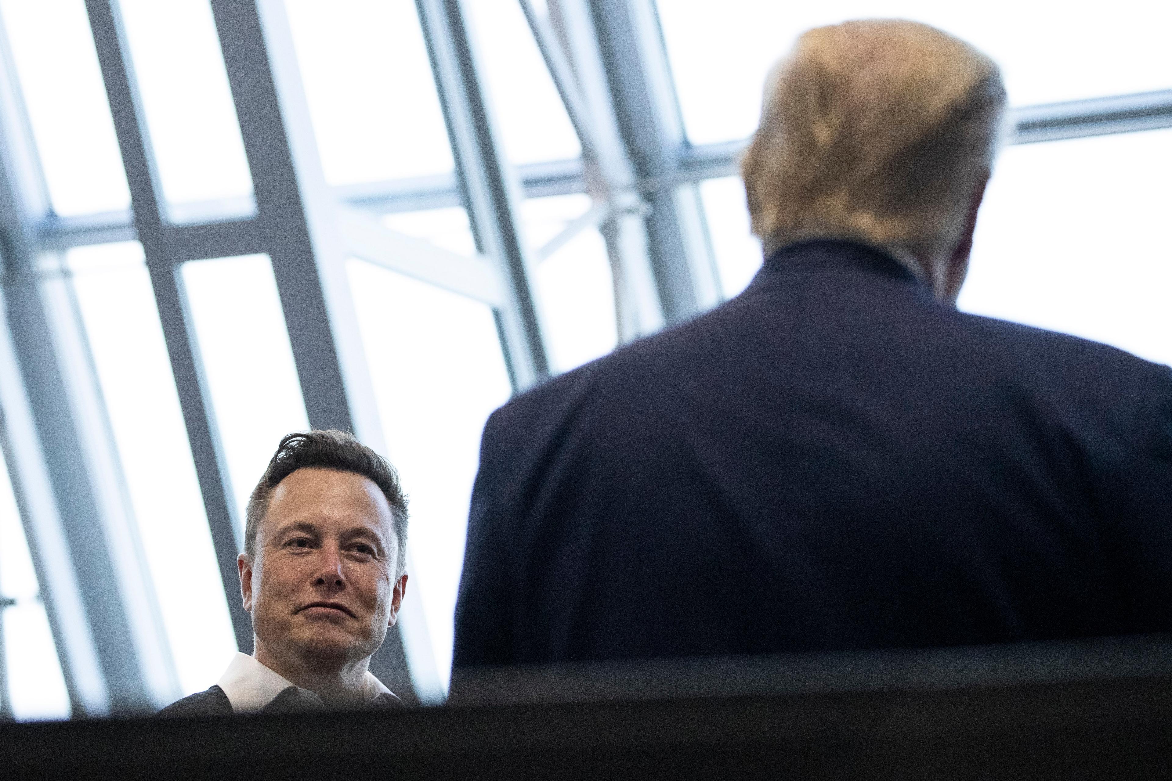 Teslachefen Elon Musk pratar med USA:s förre president Donald Trump, som har ryggen mot kameran. Arkivbild. Foto: Alex Brandon/AP/TT