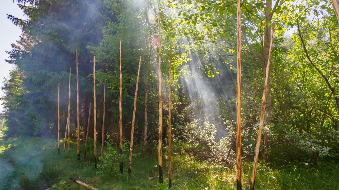 Sven vandrar genom sju gärdsgårdar, på väg mot en avgörande insikt i livet.
Foto: Nowaczyk/Shutterstock