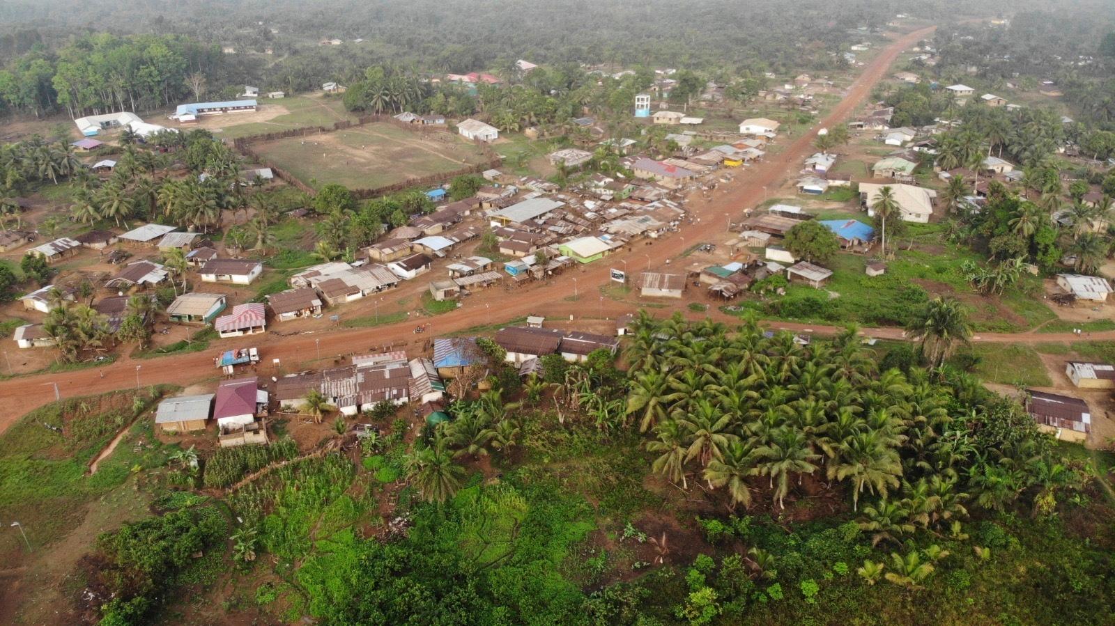 Regnskog i sydöstra Liberia. Arkivbild. Foto: Derick Snyder/AP/TT