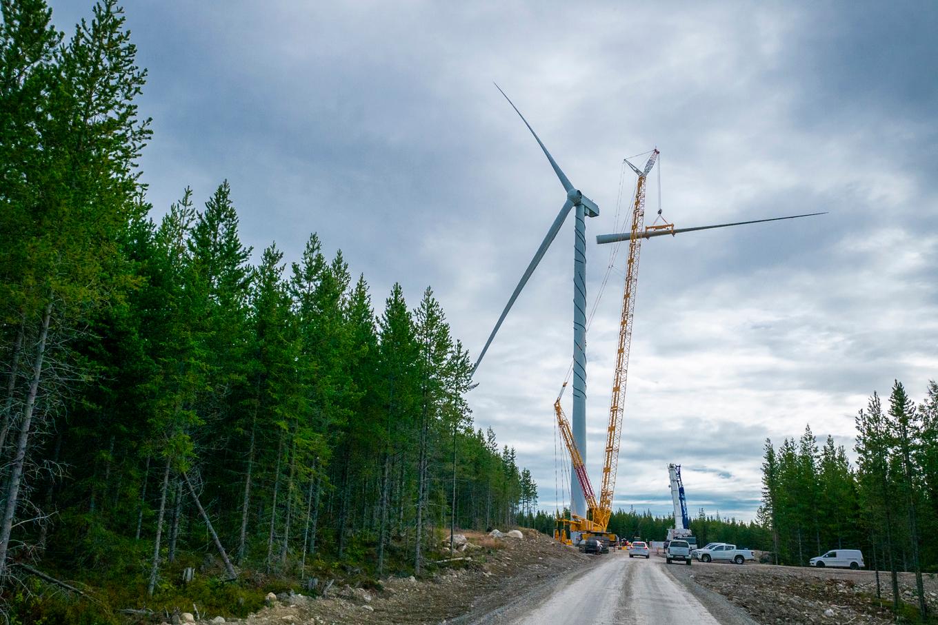 Den stora utbyggnaden av vindkraft har lett till att det produceras för mycket el när det blåser, vilket sänker elpriserna kraftigt och gör det svårt för bolagen att gå med vinst. Foto: Bilbo Lantto