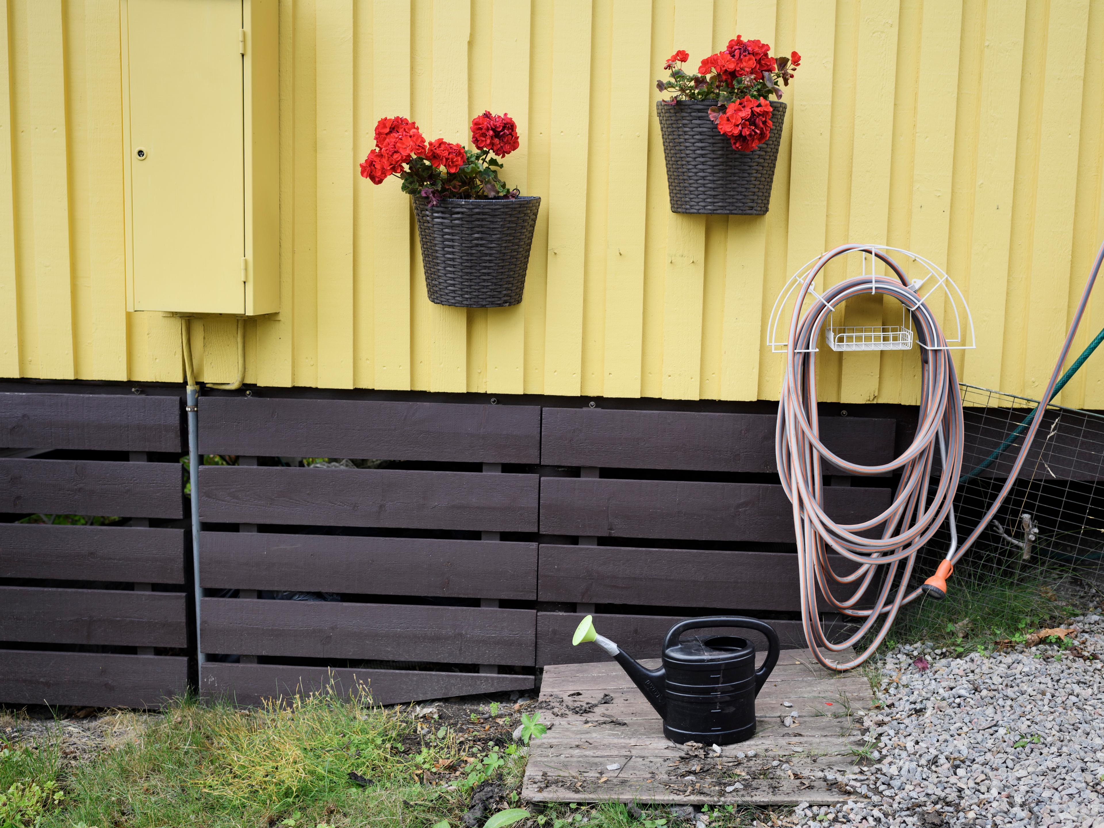 Nu börjar mössens högsäsong. Arkivbild. Foto: Naina Helén Jåma/TT