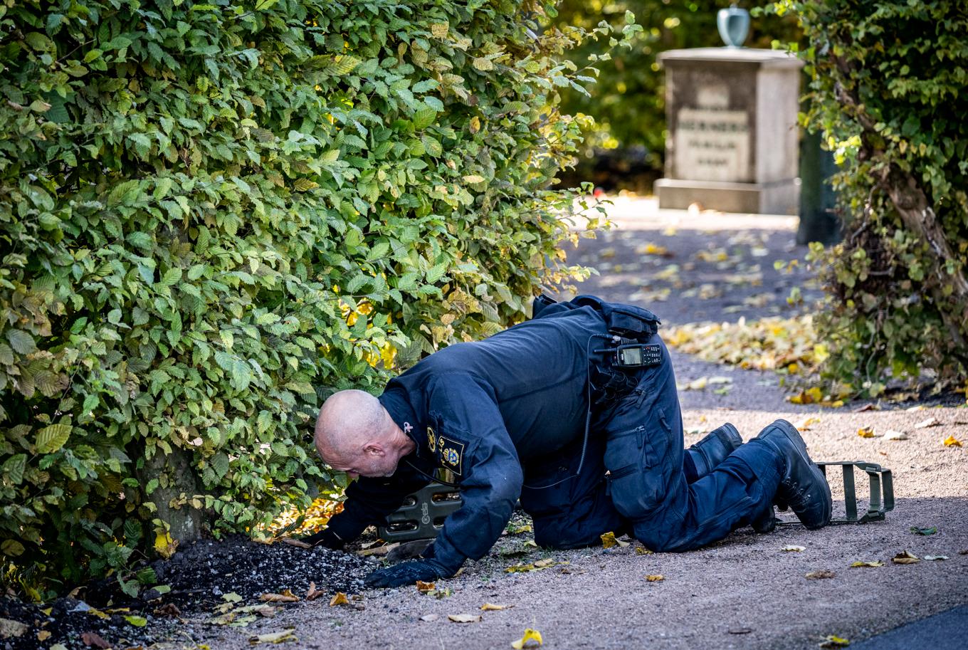 Polisen har under onsdagen gjort en större sökinsats på Östra kyrkogården i Malmö. I insatsen deltog bland annat bombtekniker med bombhundar och metalldetektorer samt personal med drönare och spadar. Foto: Johan Nilsson/TT