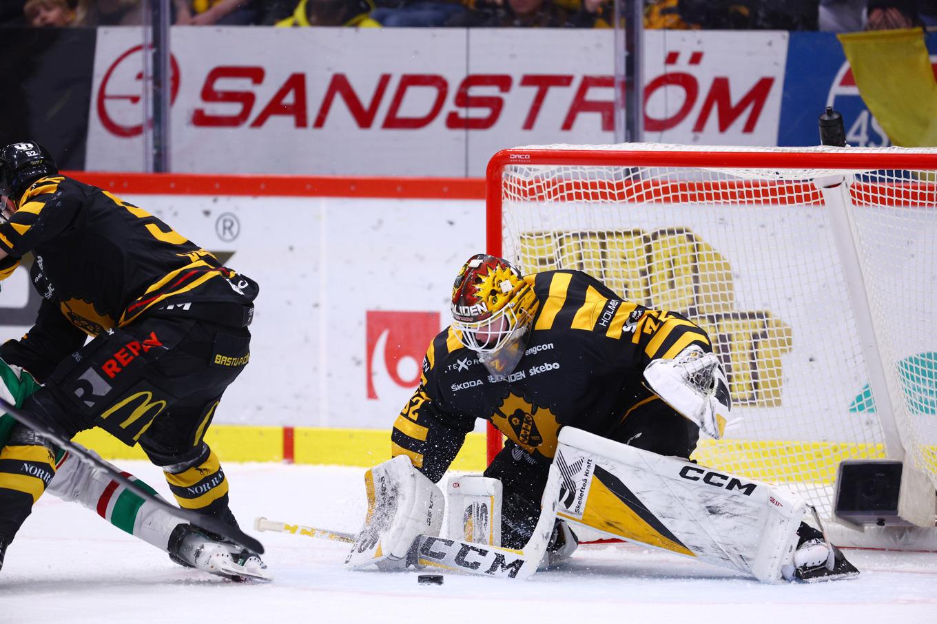 Skellefteås målvakt Linus Söderström. Arkivbild. Foto: Johan Löf/TT