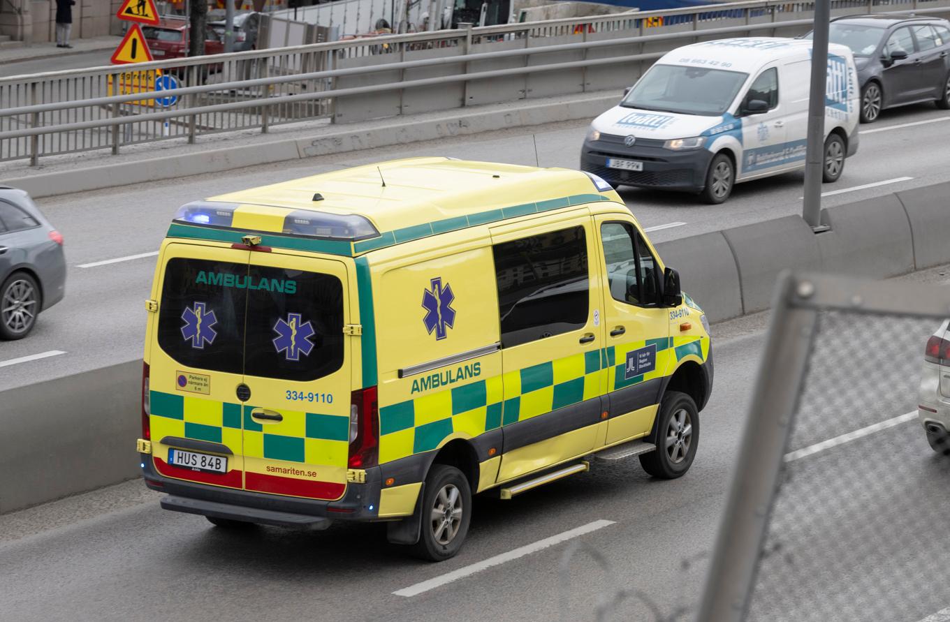 Två personer har förts till sjukhus efter att en lös hund orsakat en kollision. Arkivbild. Foto: Fredrik Sandberg/TT