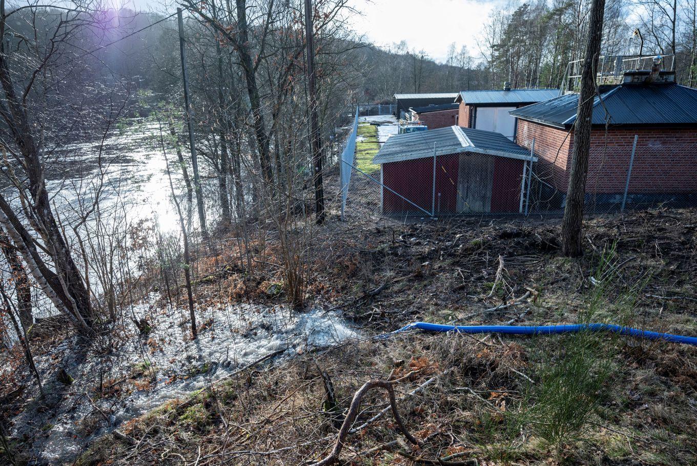 Orsaken till bräddningar kan vara stopp eller inläckage i ledningsnätet vid kraftigt regn. Foto: Johan Nilsson/TT