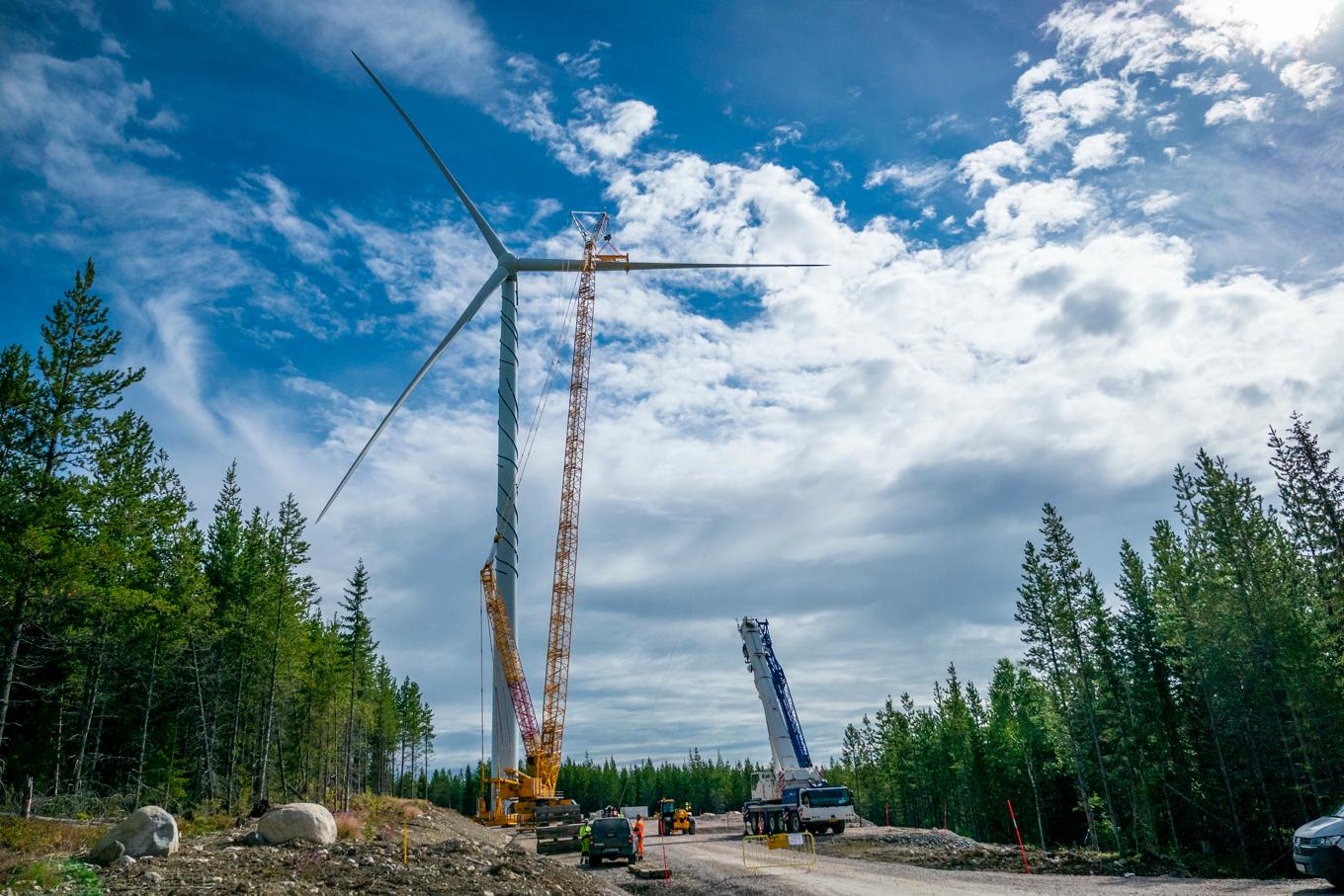 Vindkraftslobbyn har jobbat målmedvetet, menar krönikören. Foto: Bilbo Lantto