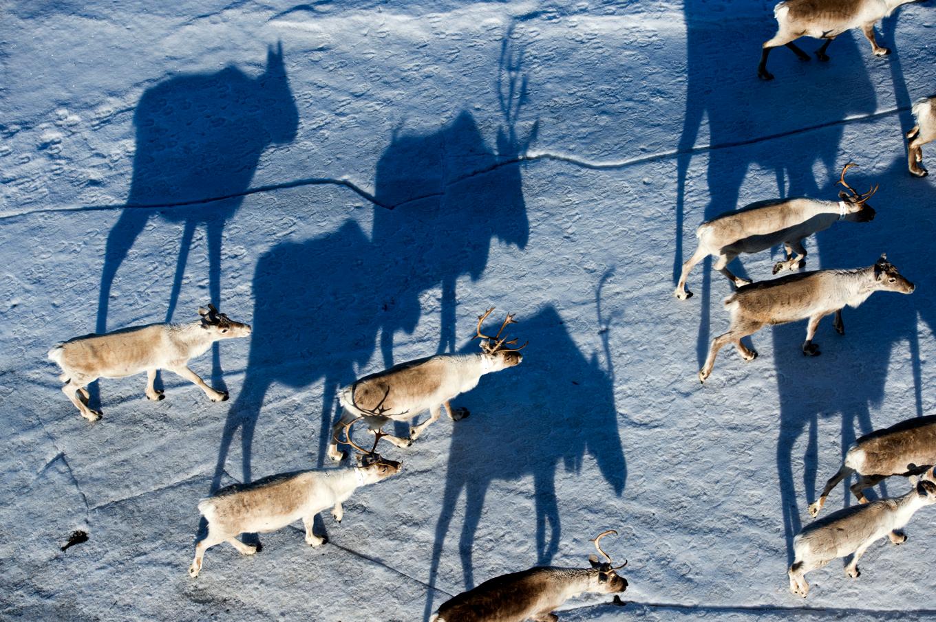 Gabna sameby hade överklagat Viscarias miljötillstånd för gruvverksamhet. Överklagan avslås nu av mark- och miljööverdomstolen. Arkivbild. Foto: Henrik Montgomery/TT