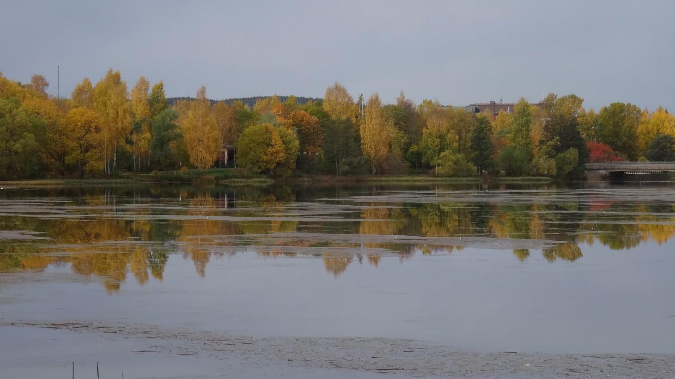 Höst vid Tiskens strand i Falun. Foto: Sverker Johansson