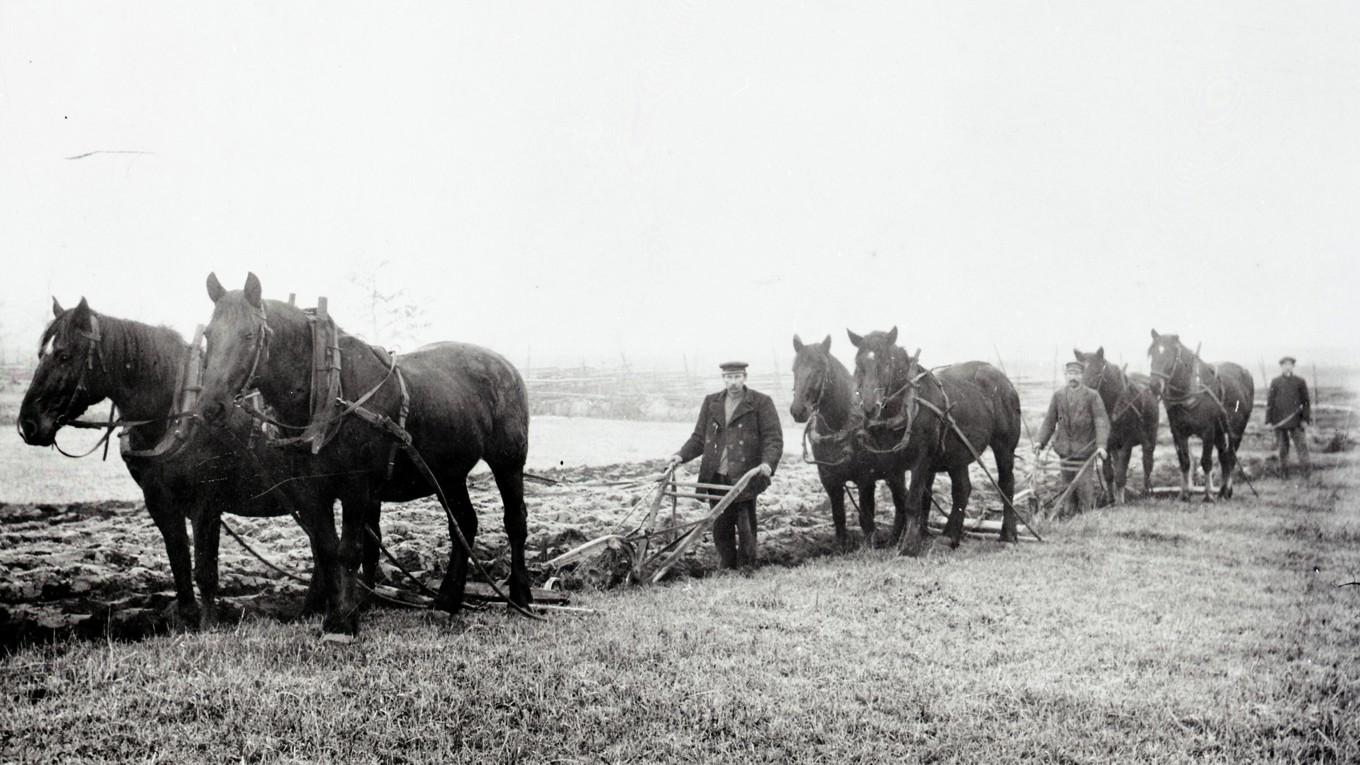 Plöjning med tre parhästar. Landsbygdens folk var rotade i jorden, vilket den folkliga litterära traditionen visar. Foto: Kalmar Läns Museum