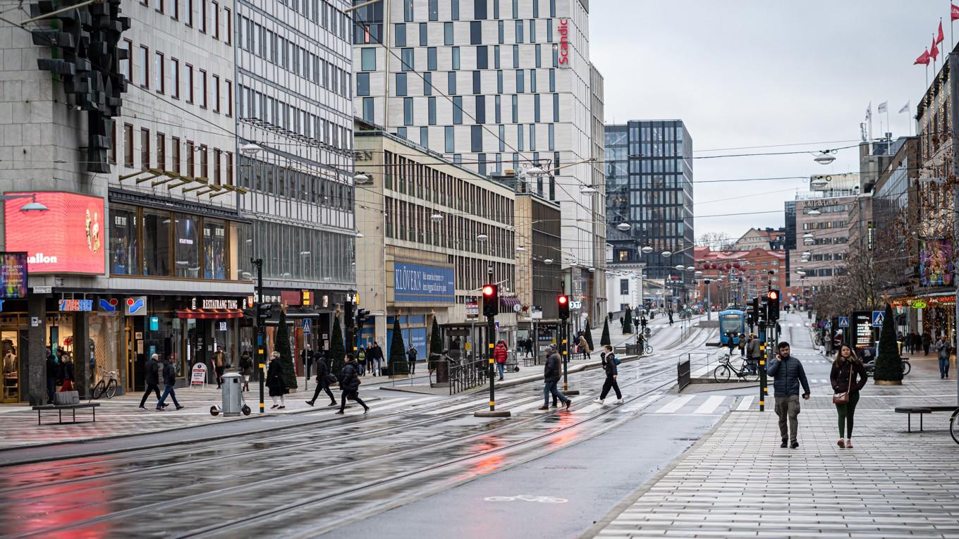 Ska vi se till djurvärlden för att förstå hur våra samhällen ska organiseras? Foto: Sofia Drevemo