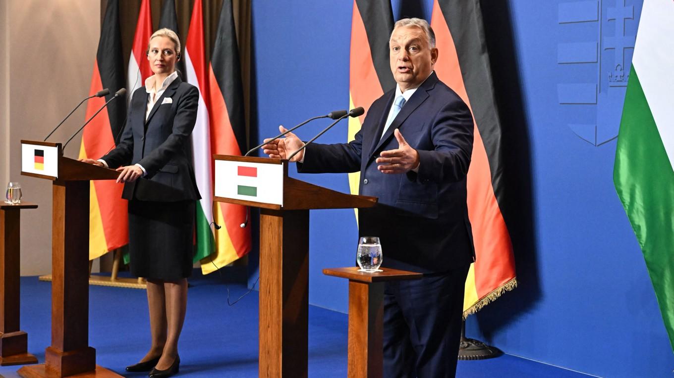 Alice Weidel, ledare för tyska invandringskritiska partiet AfD, och Ungerns premiärminister Viktor Orbán, på en pressträff den 12 februari. Foto: Attila Kisbenedek/AFP via Getty Images