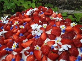 










Generös tårta för många, med jordgubbar och mousse. Elegant garnering med ätliga blommor, som tusensköna, vallört och trädgårdsnattviol. Foto: Epoch Times                                                                                                                                                                                                                                                                                                                                                                                                                                                                                                    